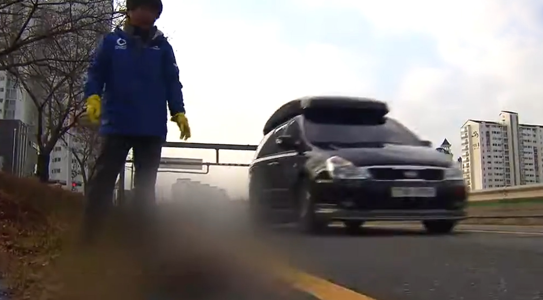 남원시, '로드킬 동물 수거·처리반' 24시간 운영..전문가가 처리