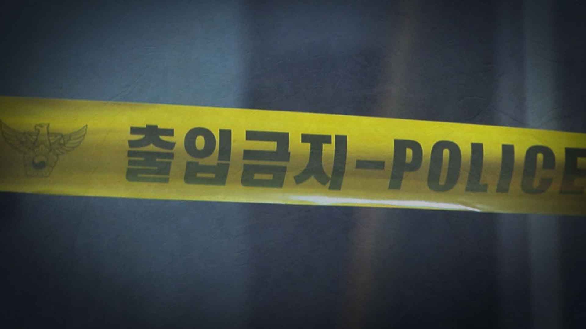 80대 몰던 벤츠 집으로 돌진.. 10대 女 깔려 숨져