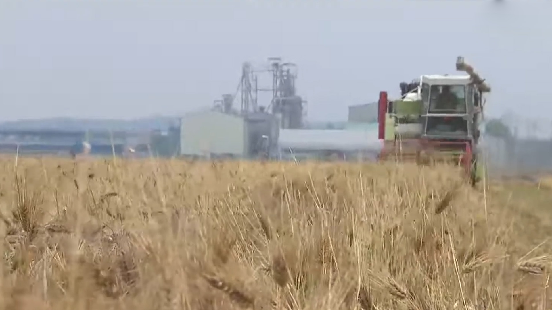 보리 주산지 전북, 전국 생산 49.4% 차지