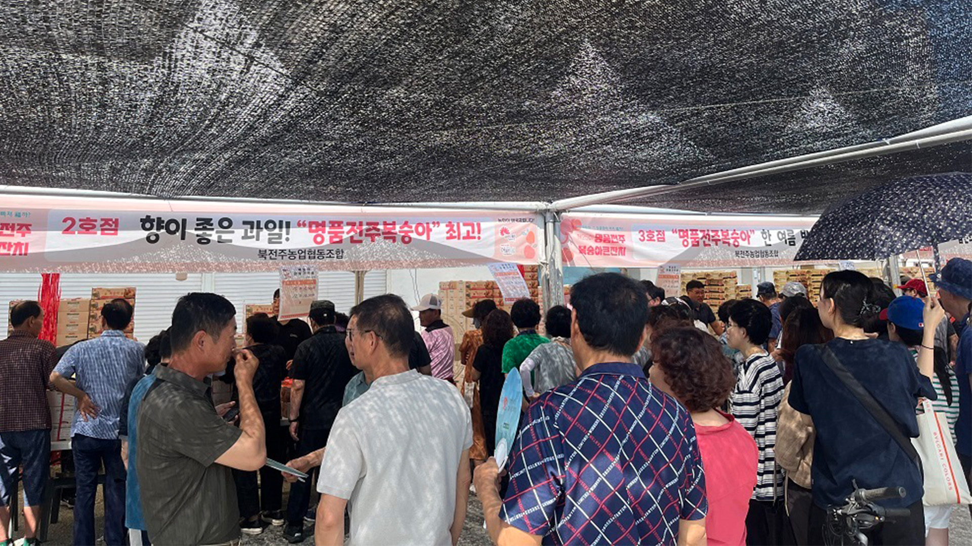 '전주복숭아 축제' 24일 풍남문 광장서 개최