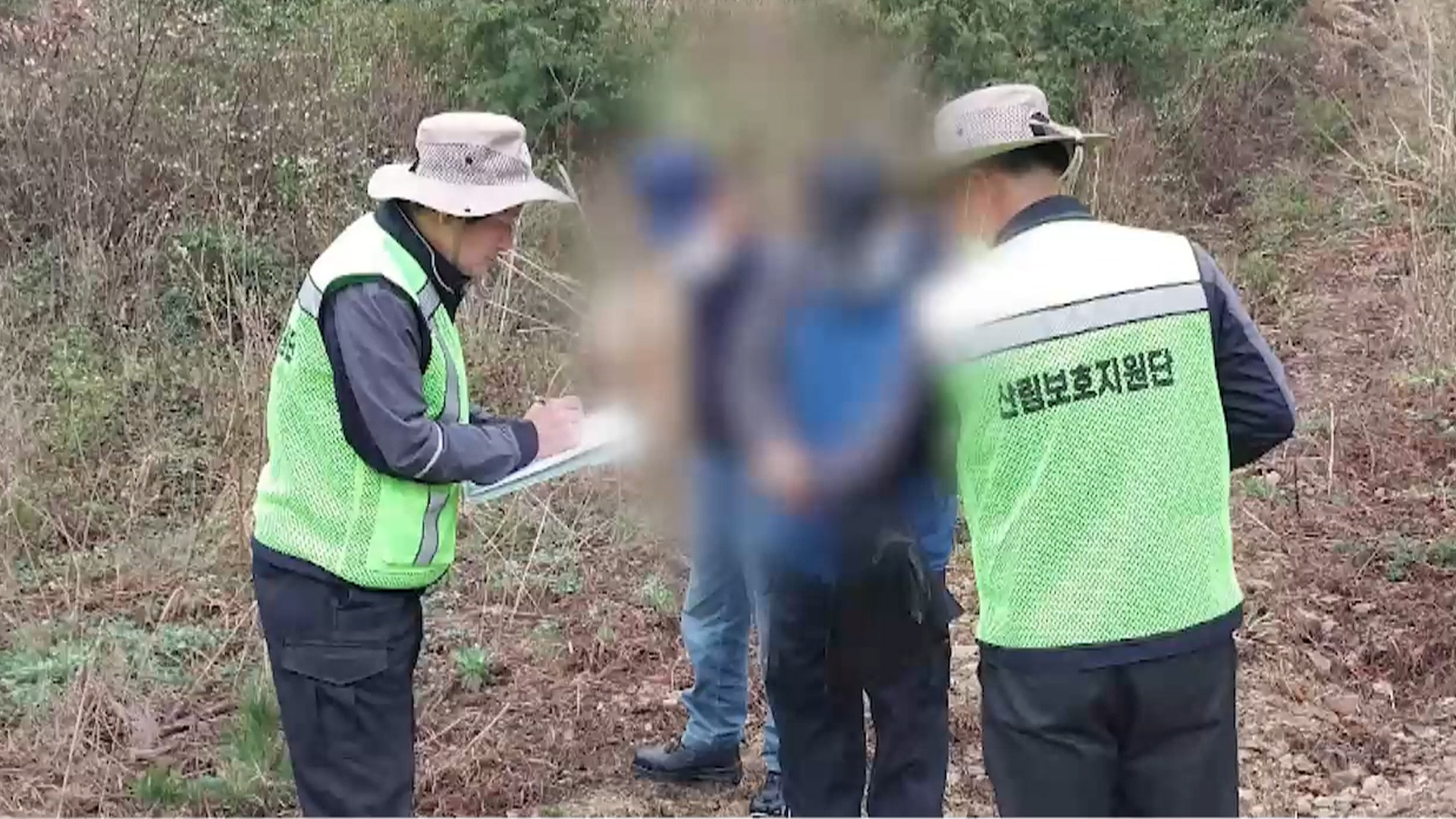 전북도, 여름철 산림 불법행위 집중 단속 돌입