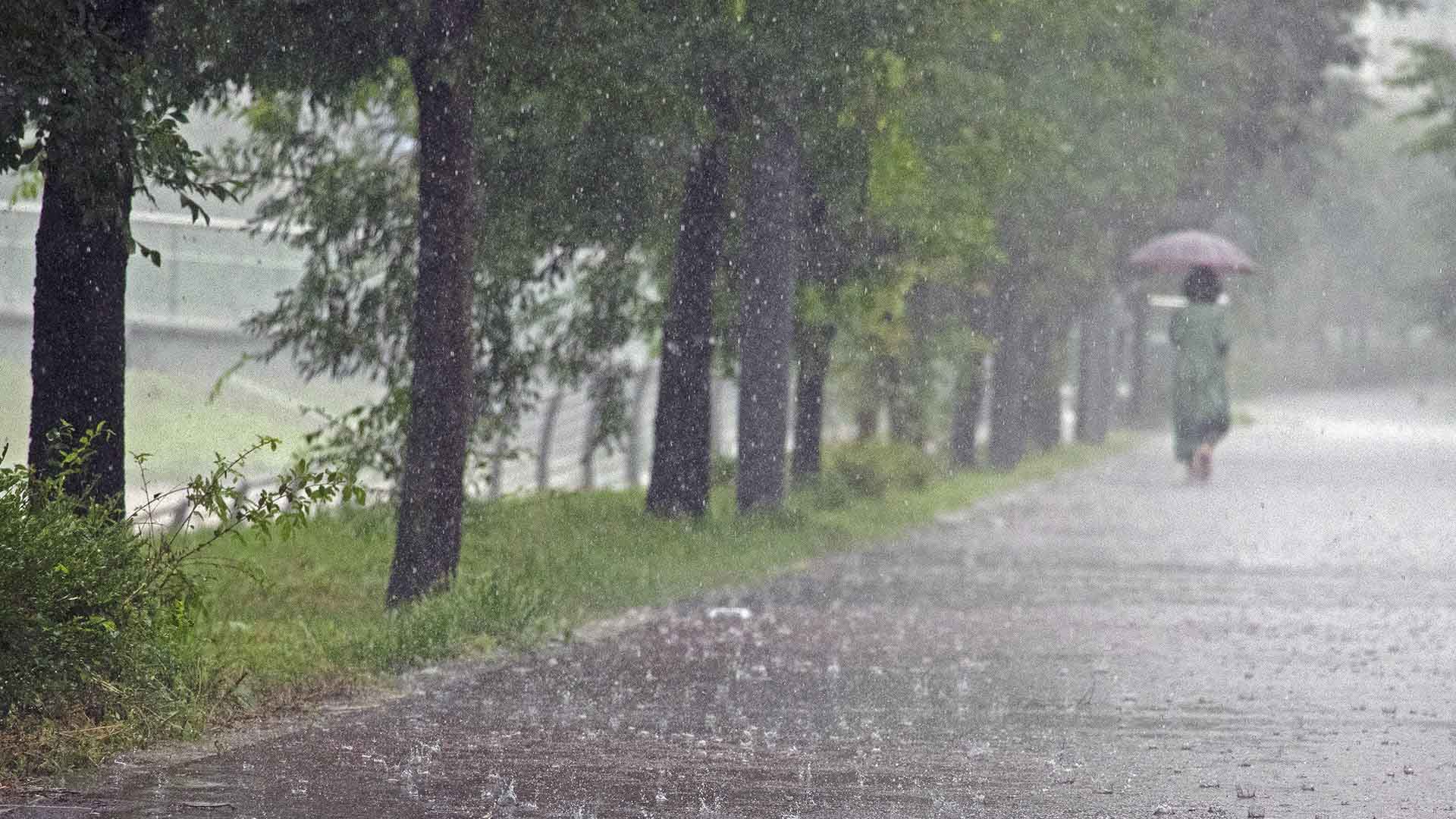 내일까지 최고 50mm 비.. 모레부터 기온 올라