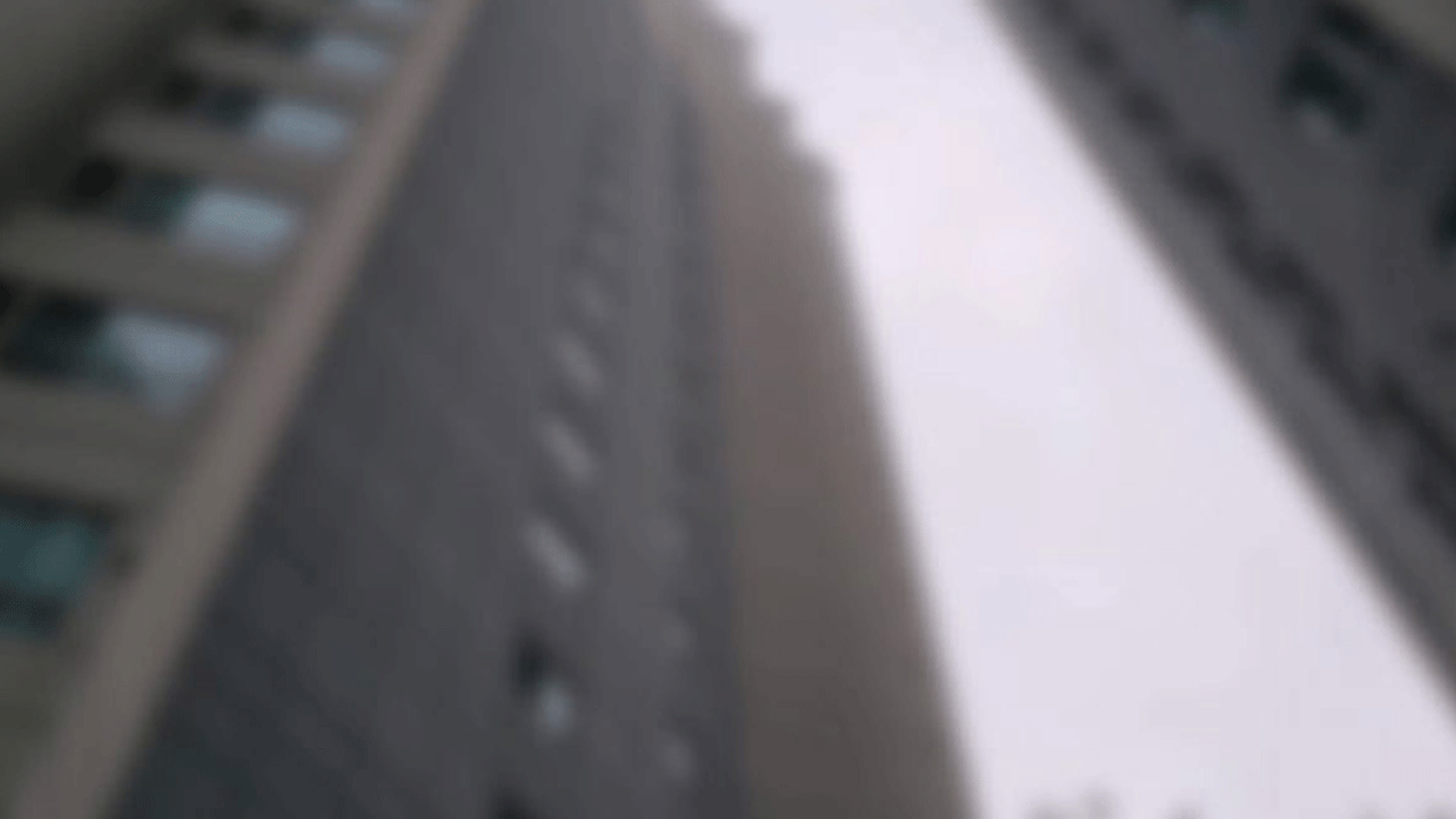 11층서 추락한 에어컨 설치기사.. 나무에 걸려 목숨 건져