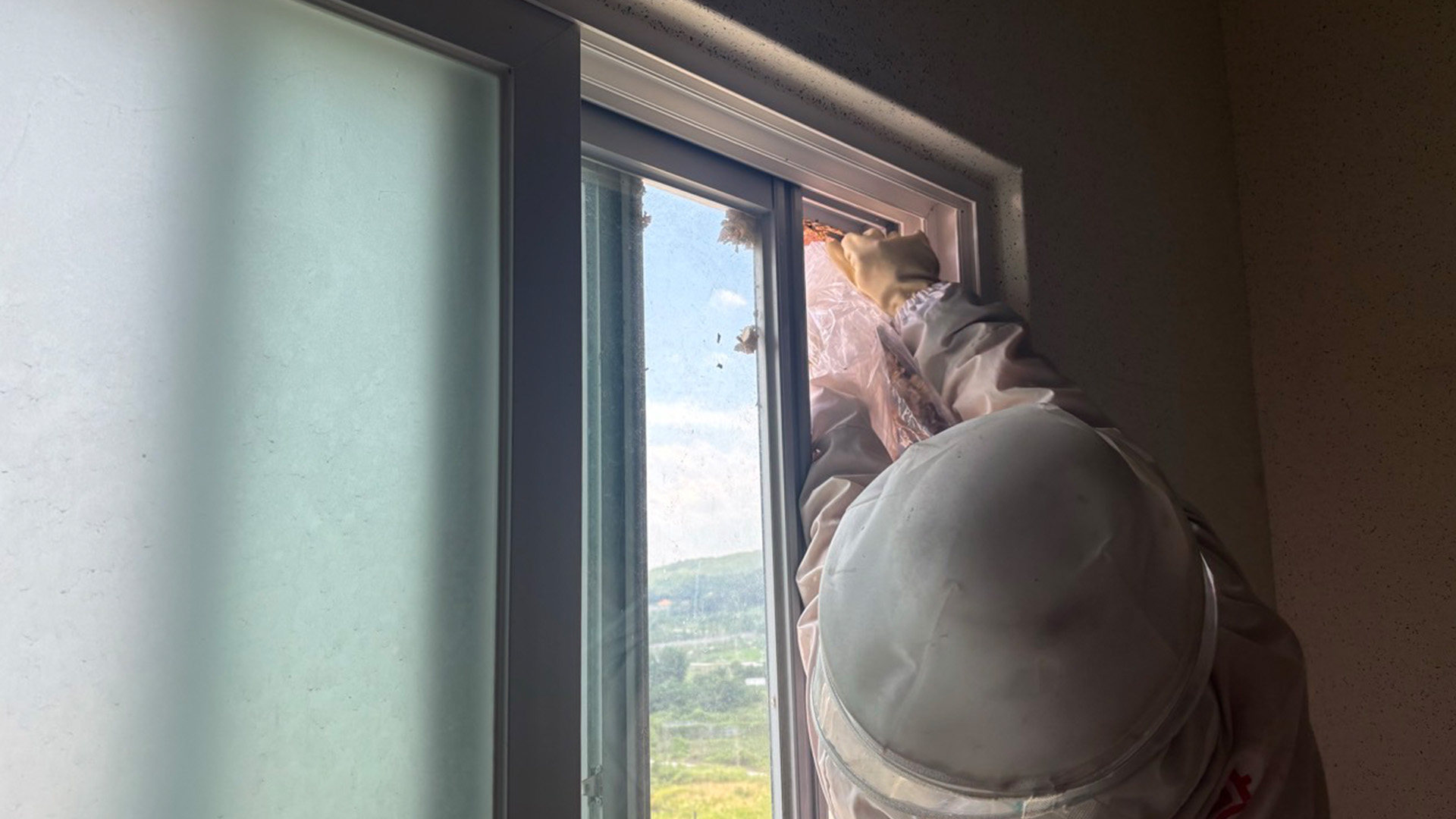 벌 쏘인 후 급성 쇼크 잇따라.. 올해 벌써 쏘임 사고 150건