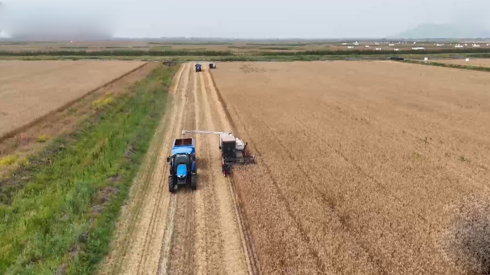 새만금 간척지, 위성과 무인기로 영농 지원