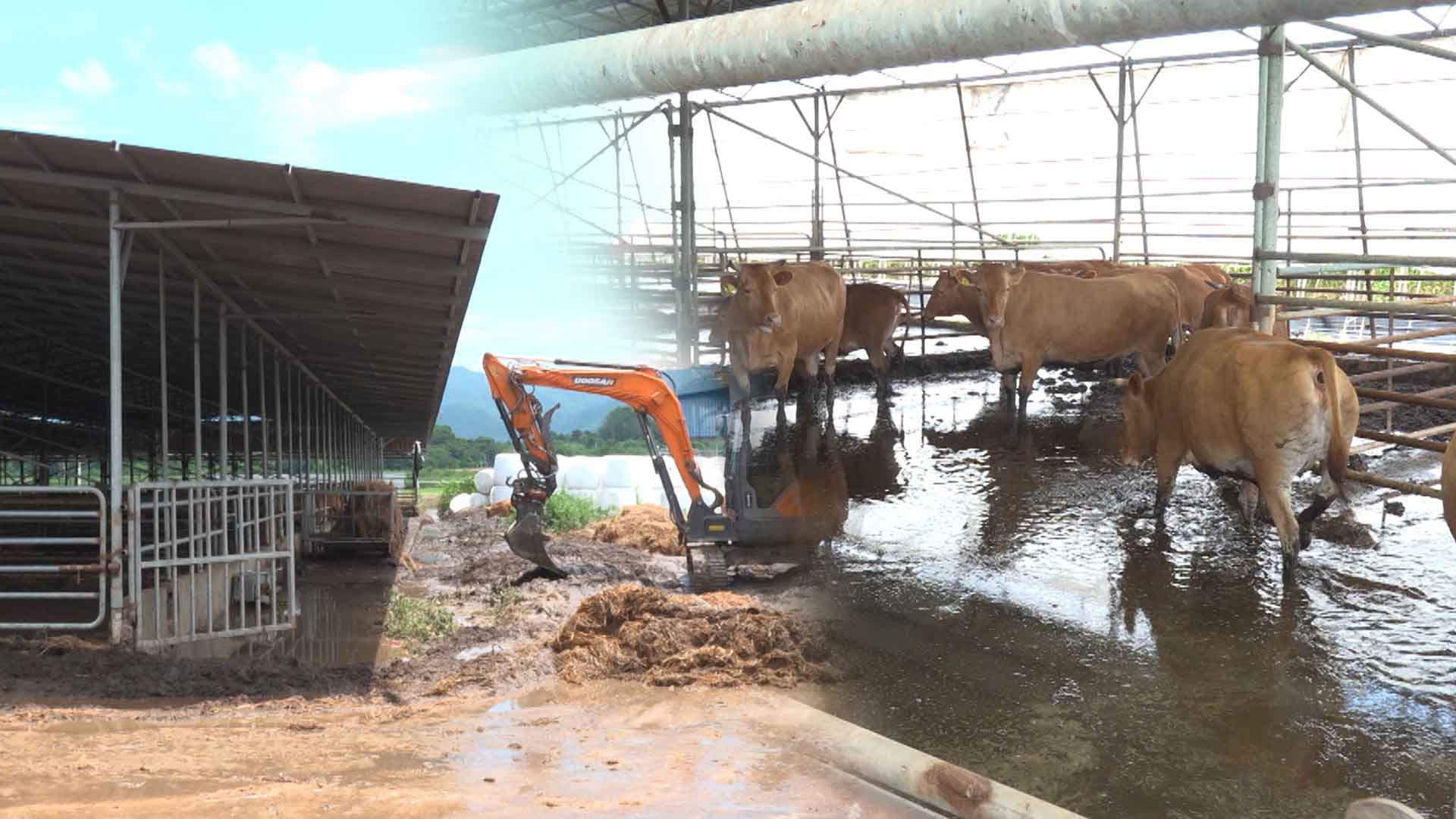 폭우 피해 복구비 확정.. 재난지원금 추석 전 지급