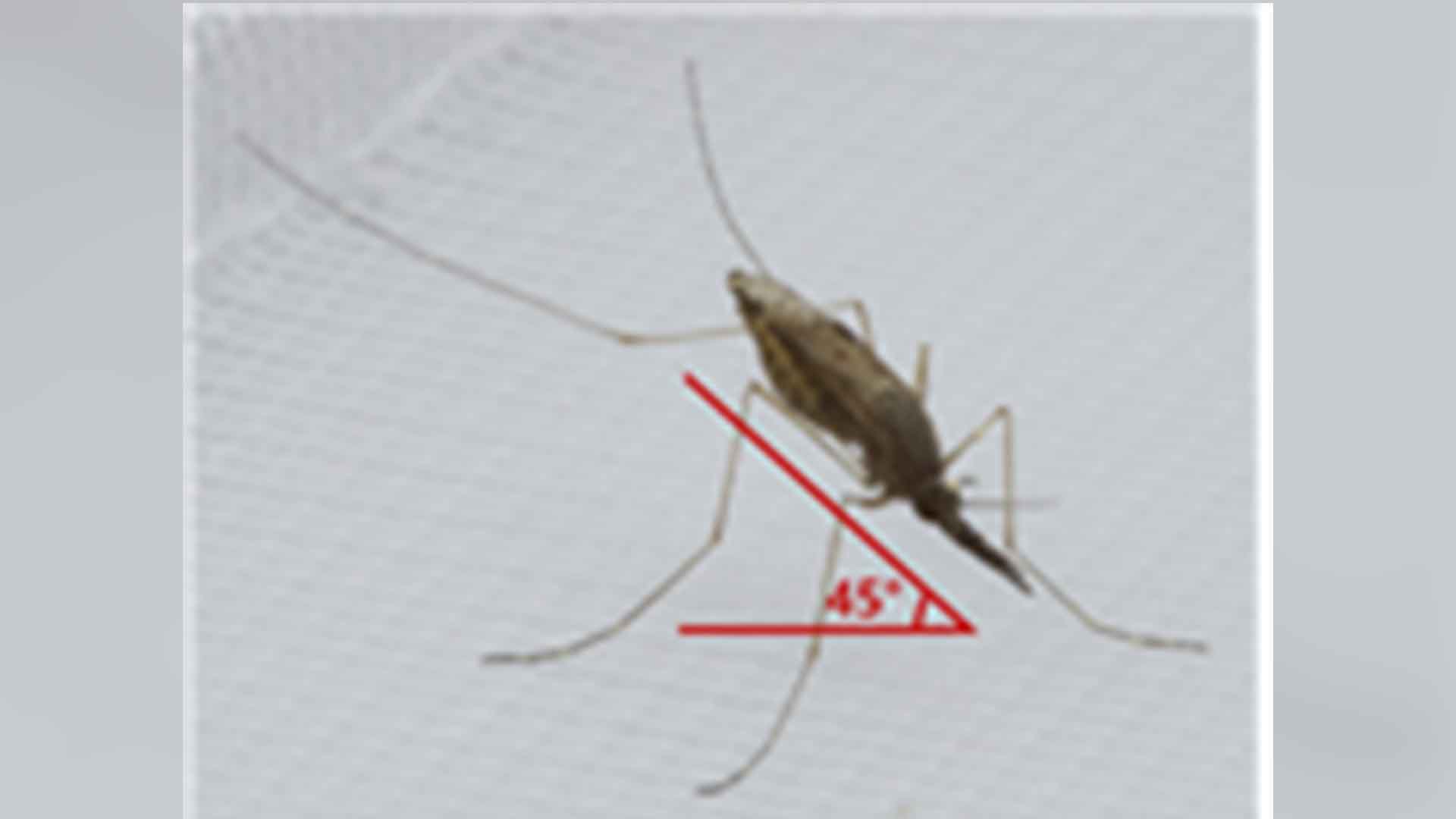 질병관리청, 전국에 '말라리아 경보' 발령