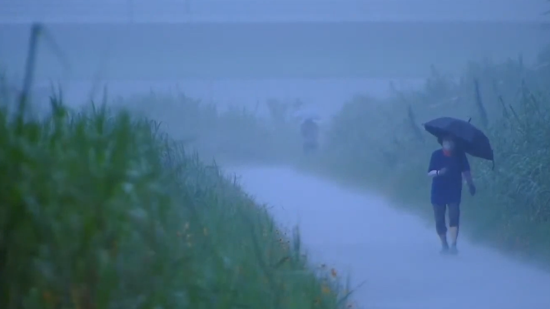 오후까지 20~60mm 강한 비.. 낮 기온 28~31도