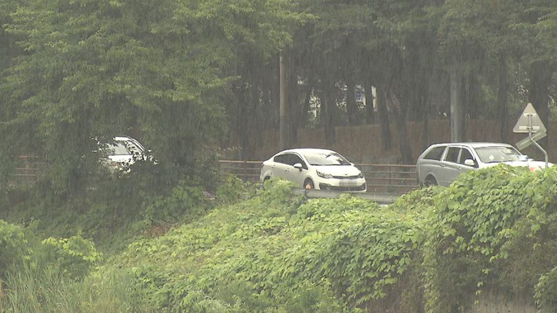 폭염 속 온열질환 주의.. 5~40mm 소나기