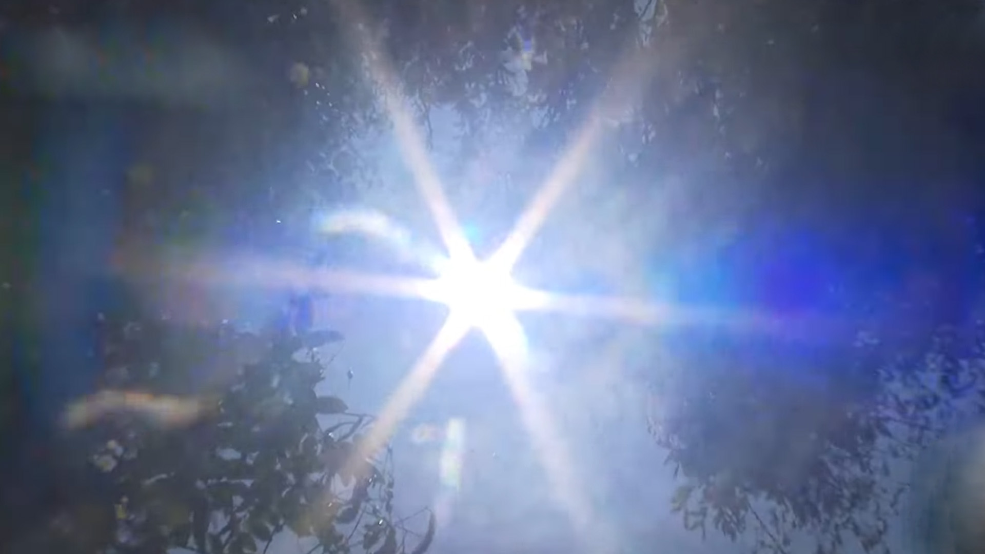 도내 모든 시군 폭염특보.. 낮 최고 31~34도