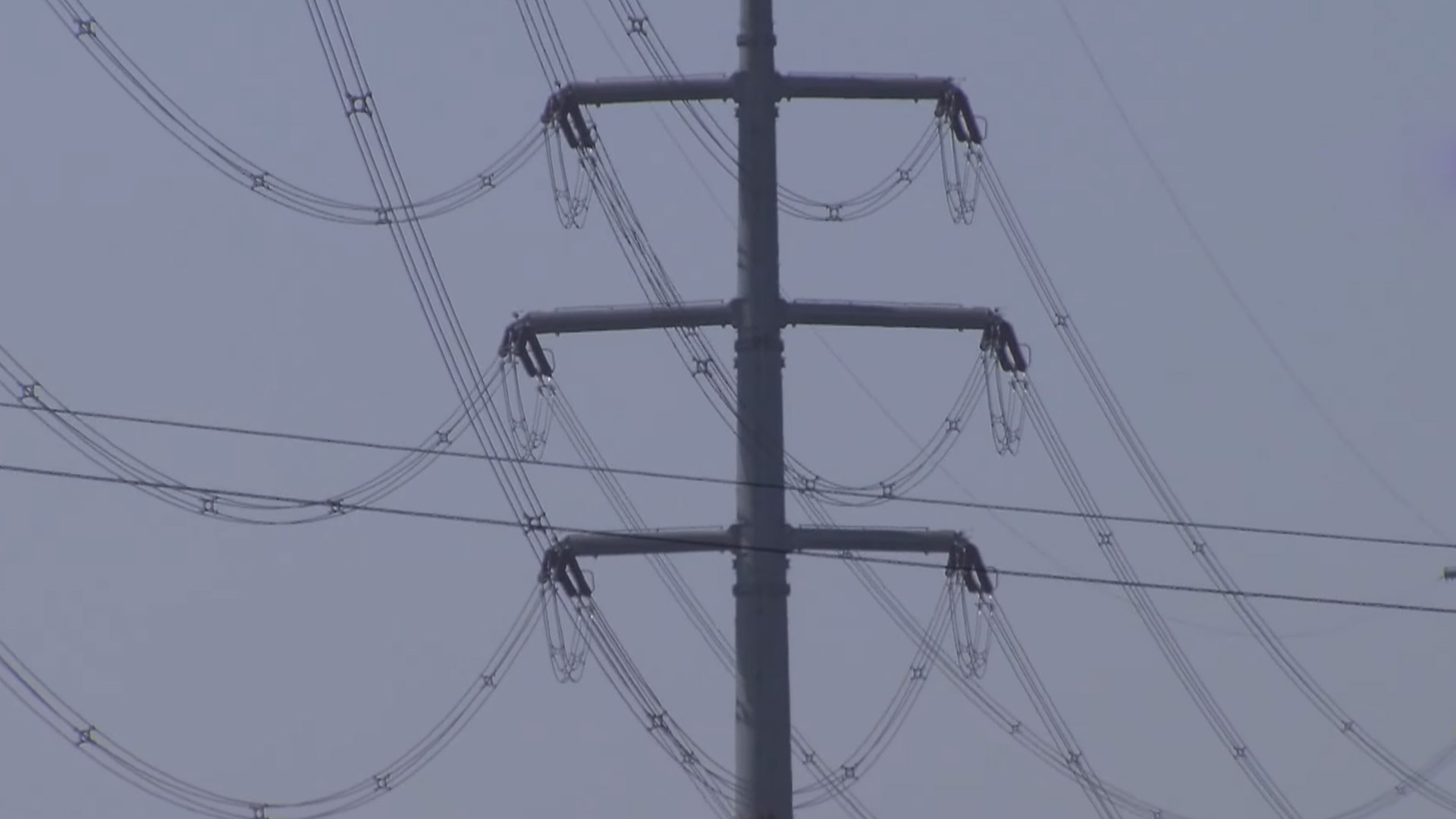 조국혁신당 지역위 