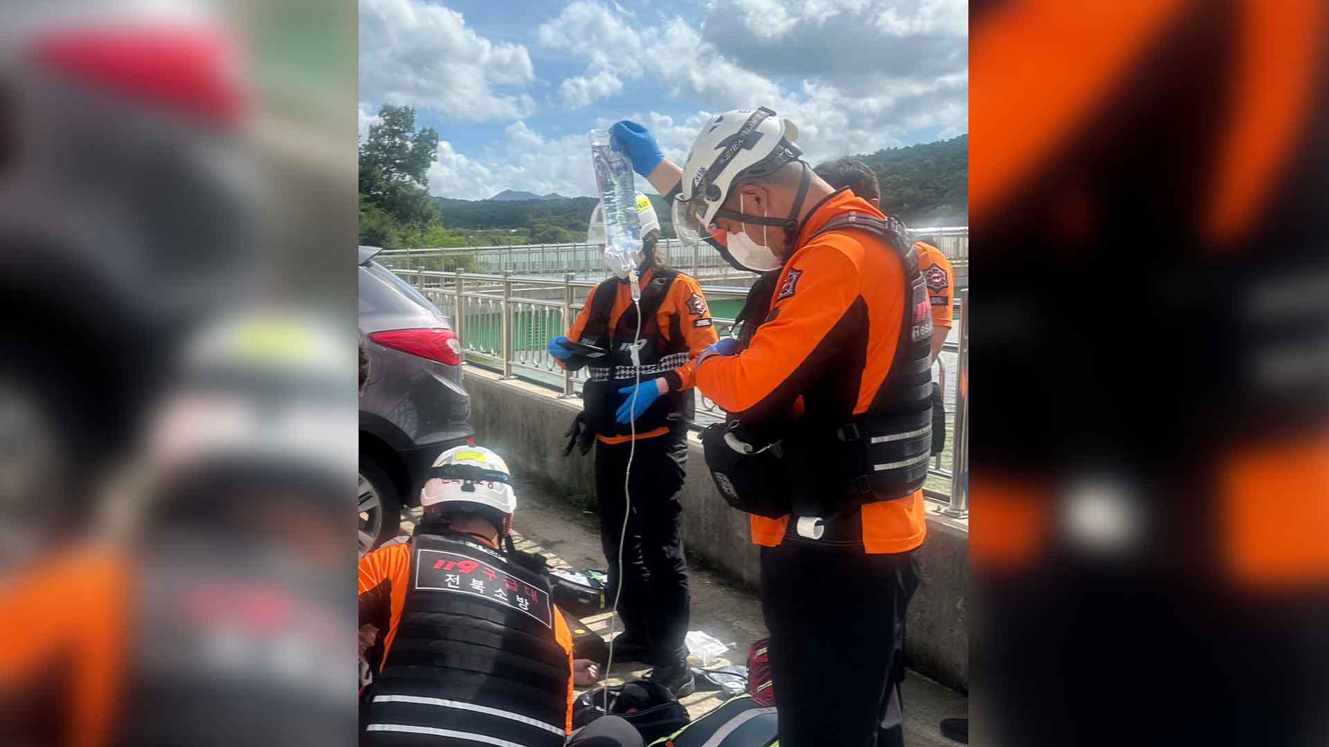 반려견 산책시키다 벌에 쏘여.. 50대 의식 잃고 병원 이송