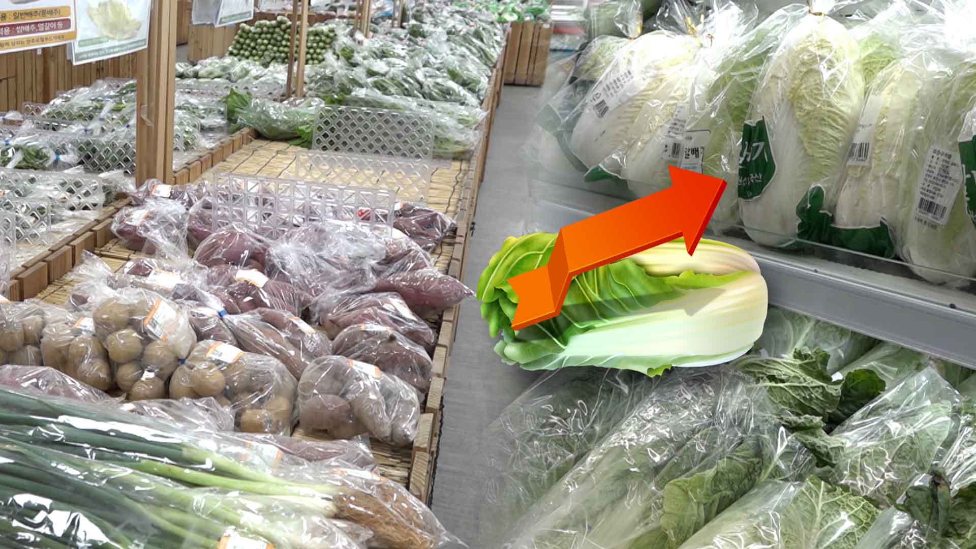 무더위와 폭우의 영향.. 신선채소와 과일 가격 급등