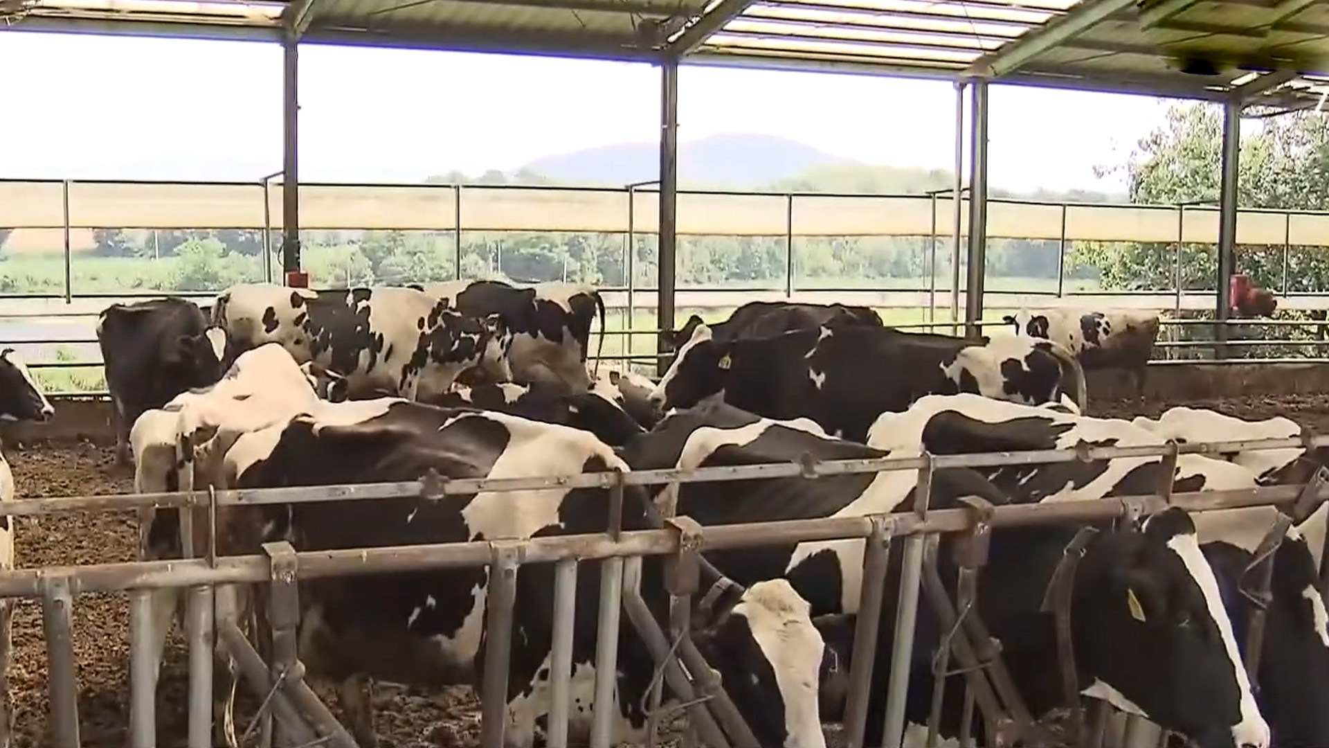 전북도, AI·로봇 적용 스마트 미래 목장 구축