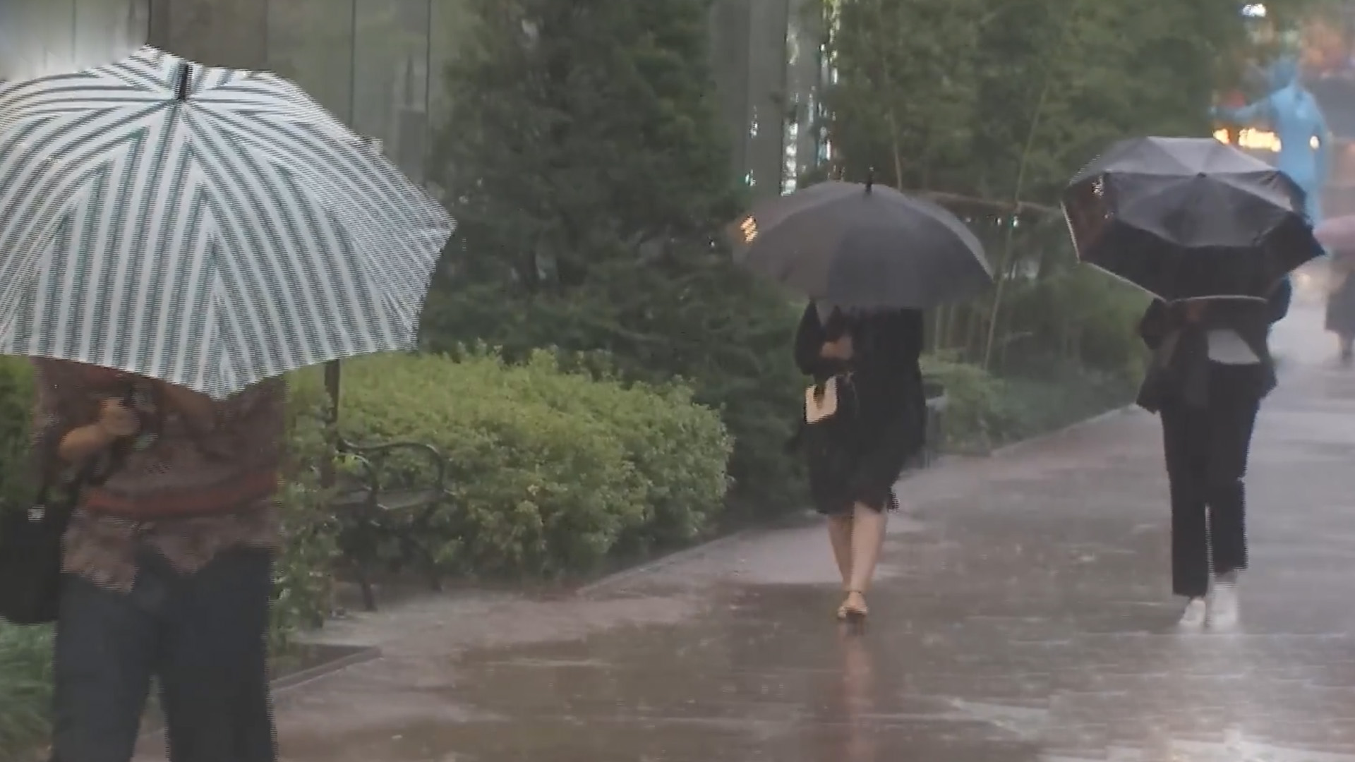 '돌아온 장마' 정체전선 북상.. 이번주 전국 비