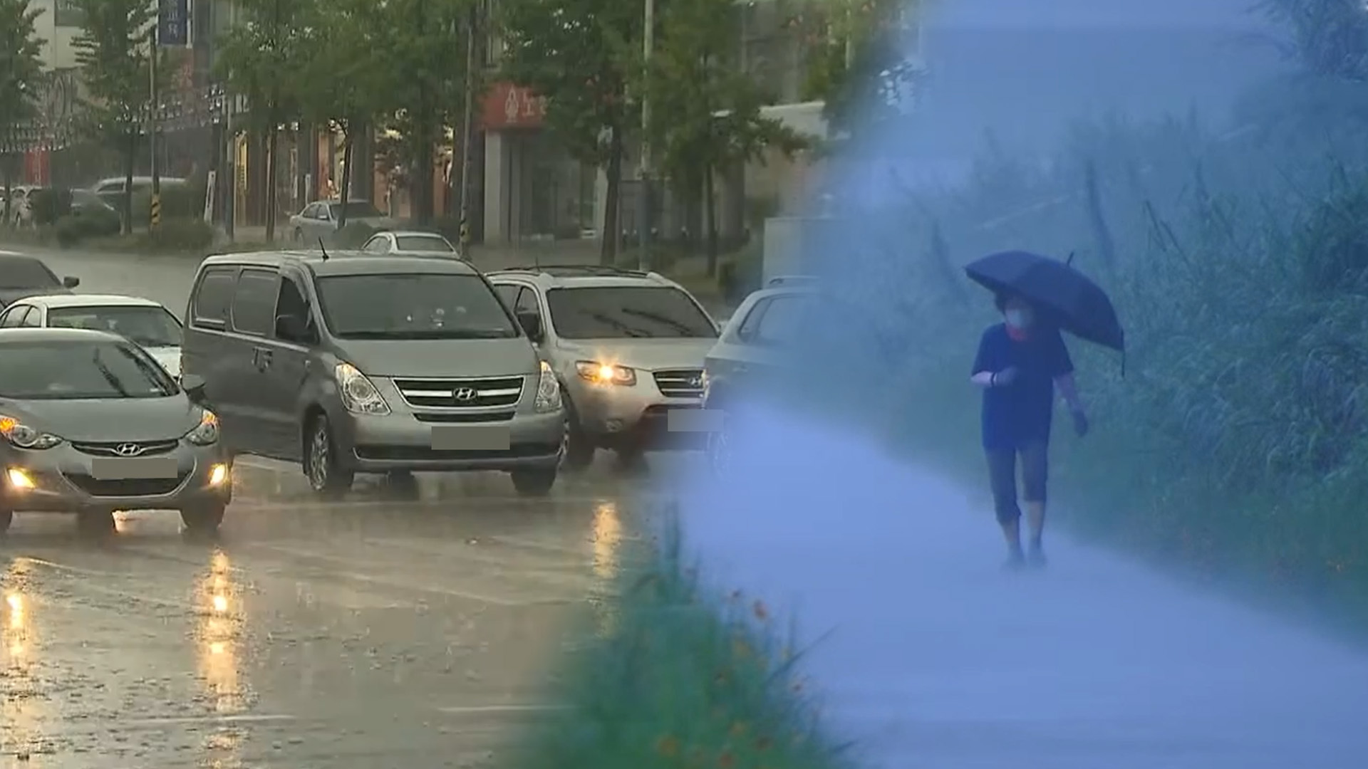 전북 지역 밤부터 새벽 집중 호우.. 시간당 최고 50mm