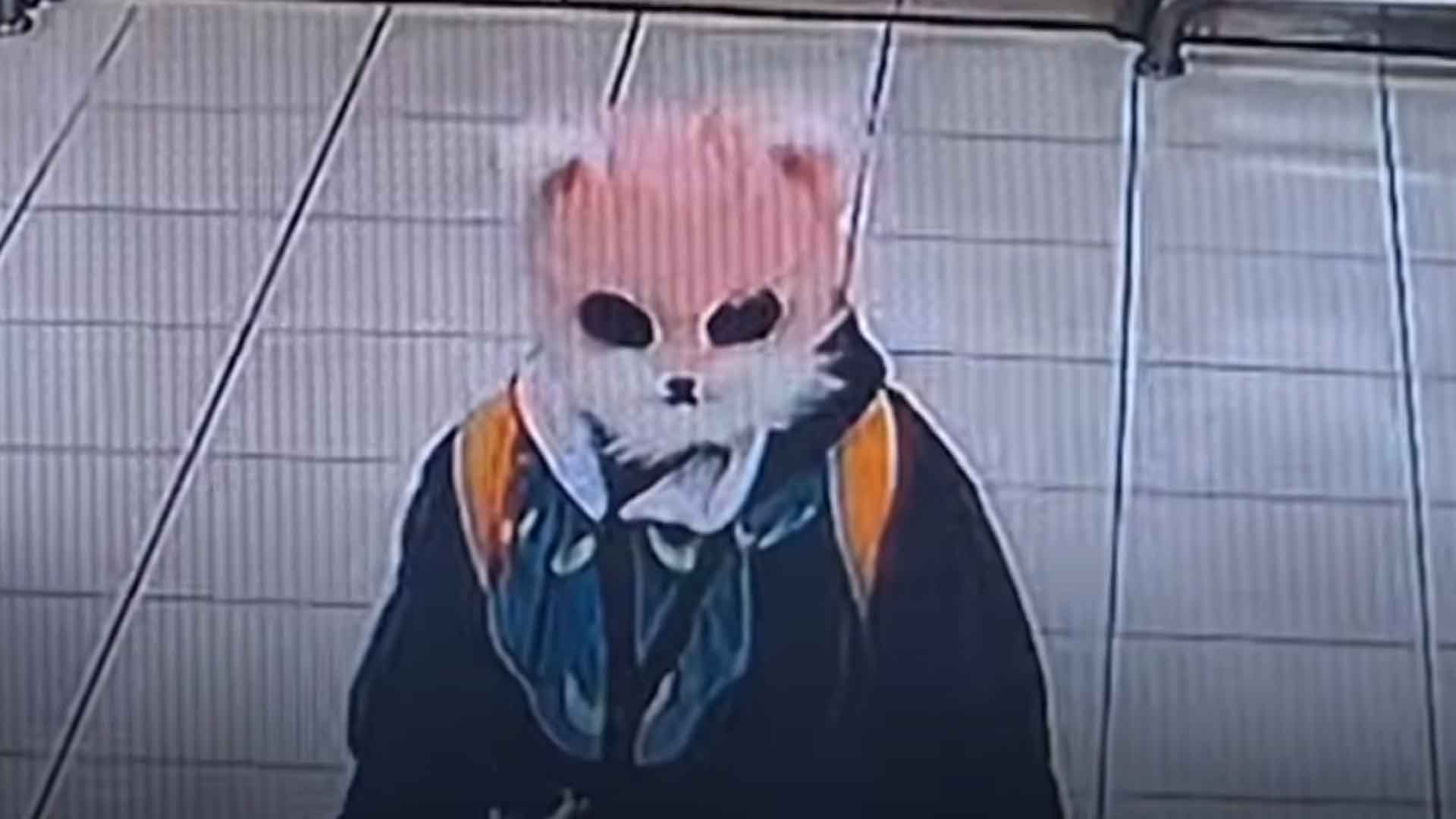 고양이 탈 쓴 채 흉기 활보 20대 븥잡혀.. 이유 묻자 