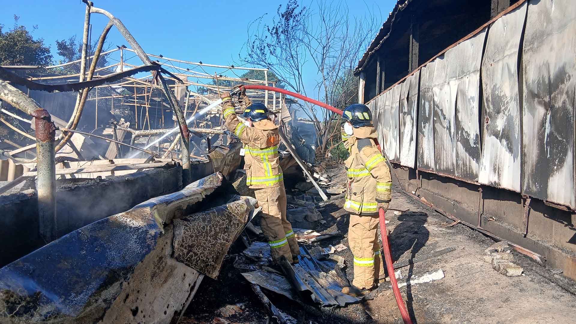 정읍 돈사화재.. 3개동 전소, 돼지 630두 폐사