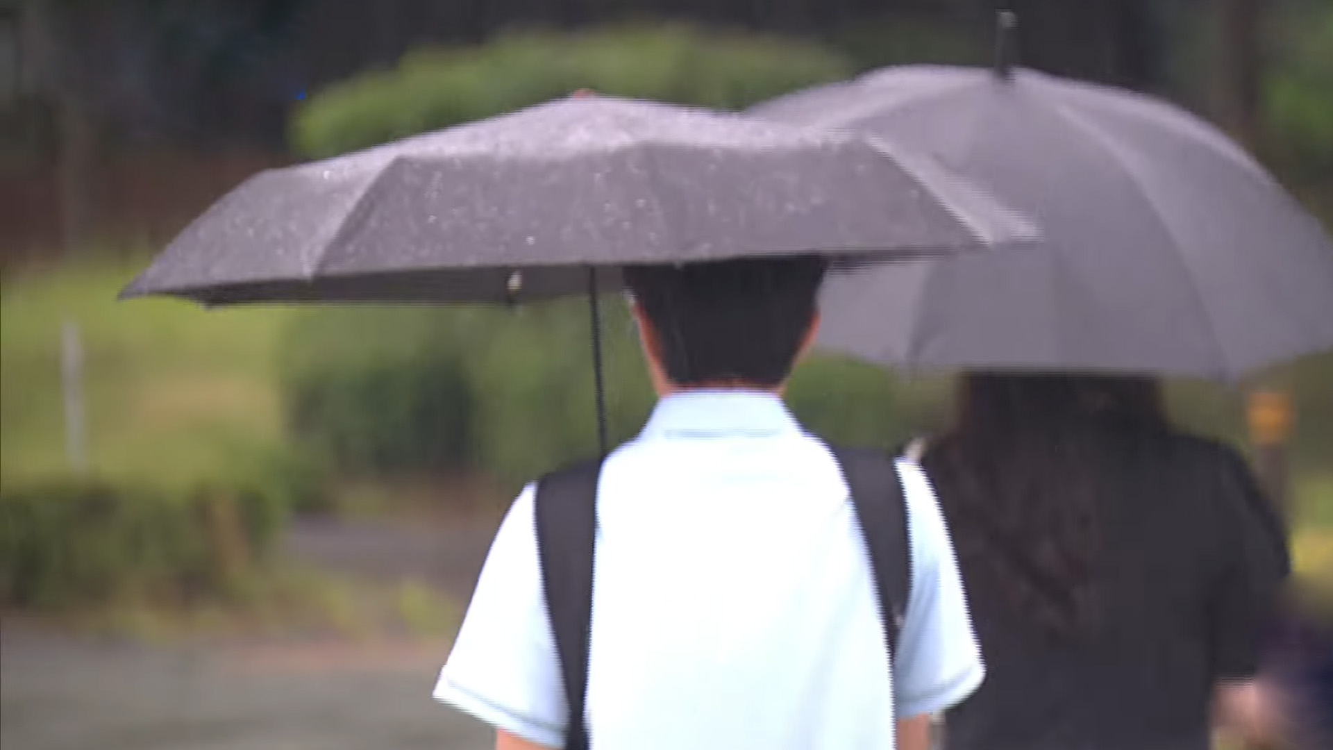 내일까지 강한 바람.. 최대 순간풍속 시속 55km ↑