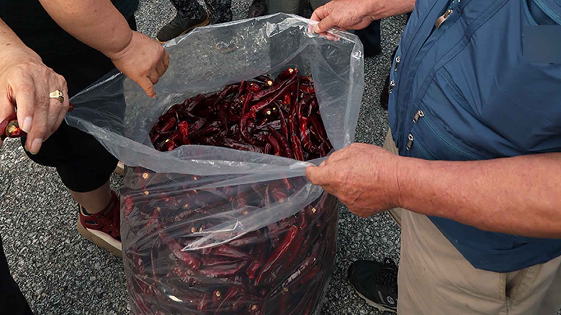 '빛깔 좋고 매콤한 맛' 23∼24일 해풍고추축제