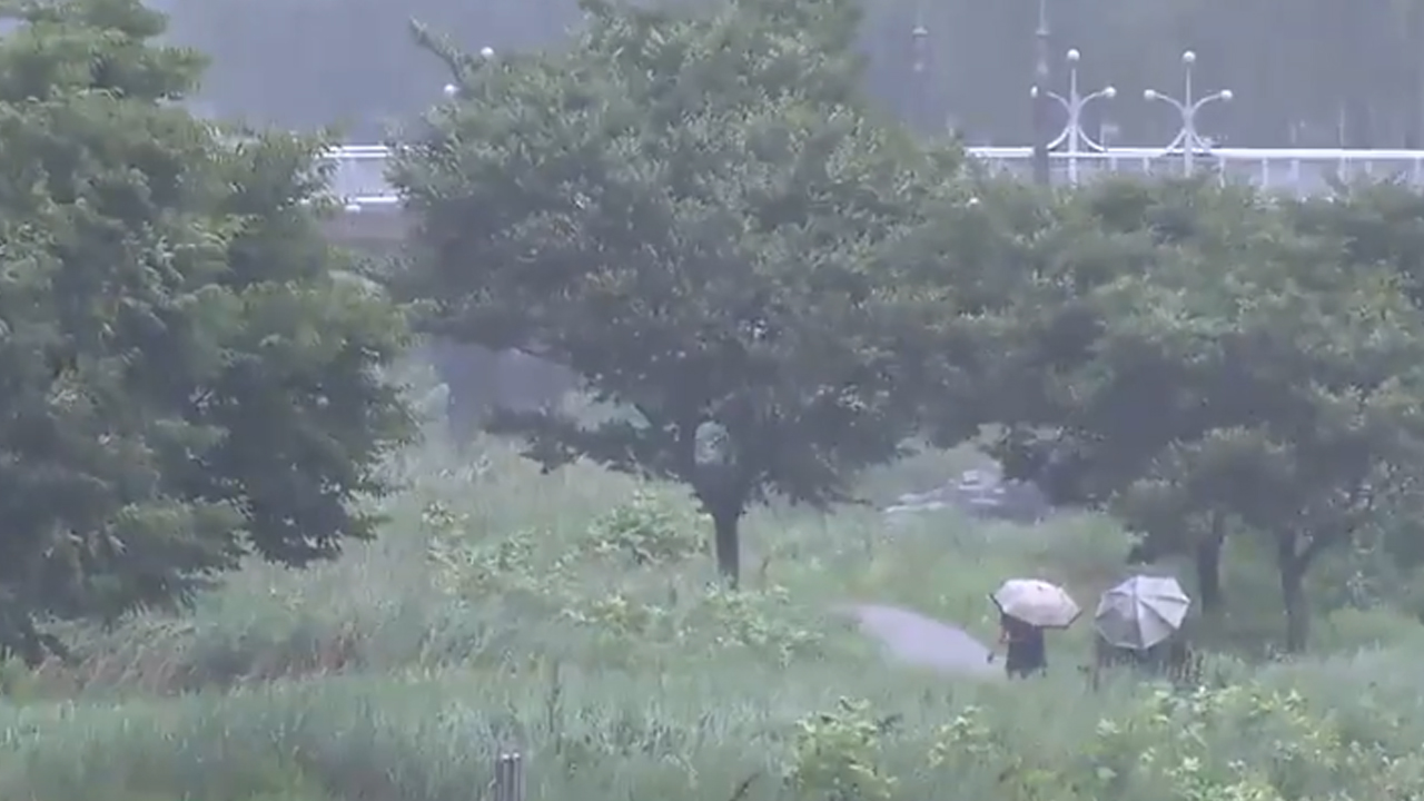 내일까지 최대 100mm 이상 비.. 낮 기온 27~30도