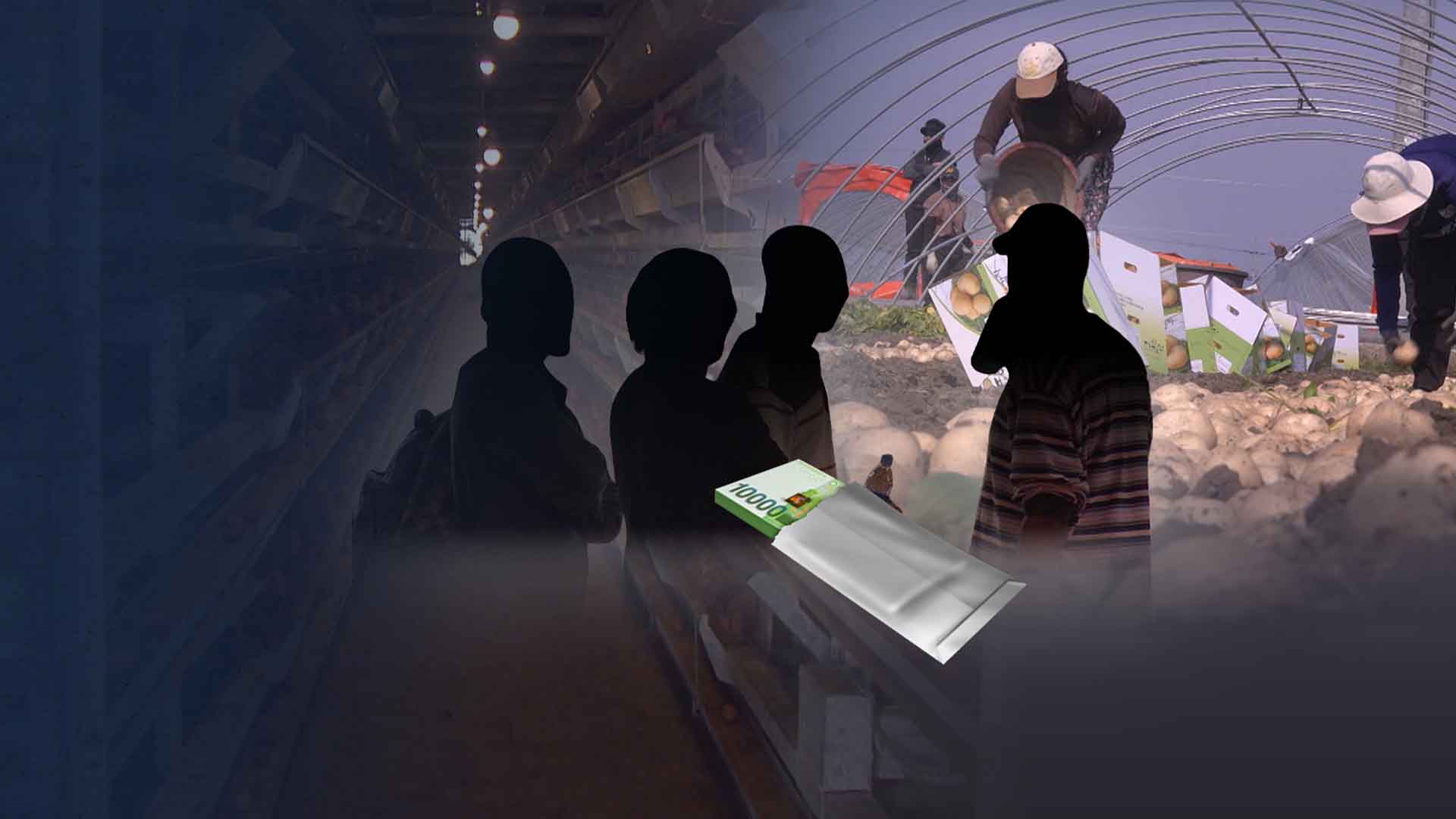 계절근로자 불법 알선 농가 적발.. 외국인 66명 단속