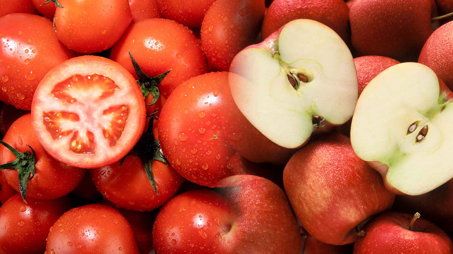 토마토·사과, 기능성 기대되는 채소·과일 1위