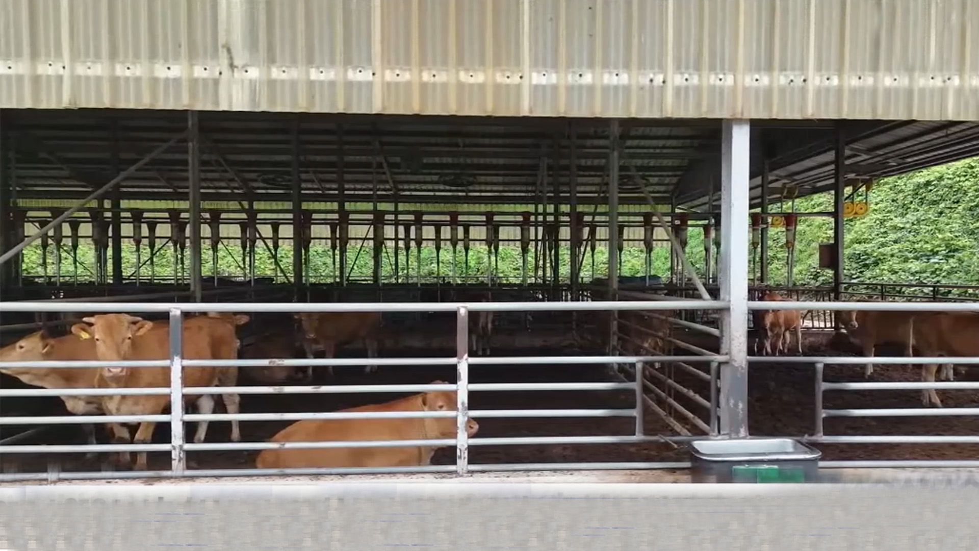 남원시, 축산농가 등에 악취개선 지원..총 사업비 19억 투입 [글로컬소식]