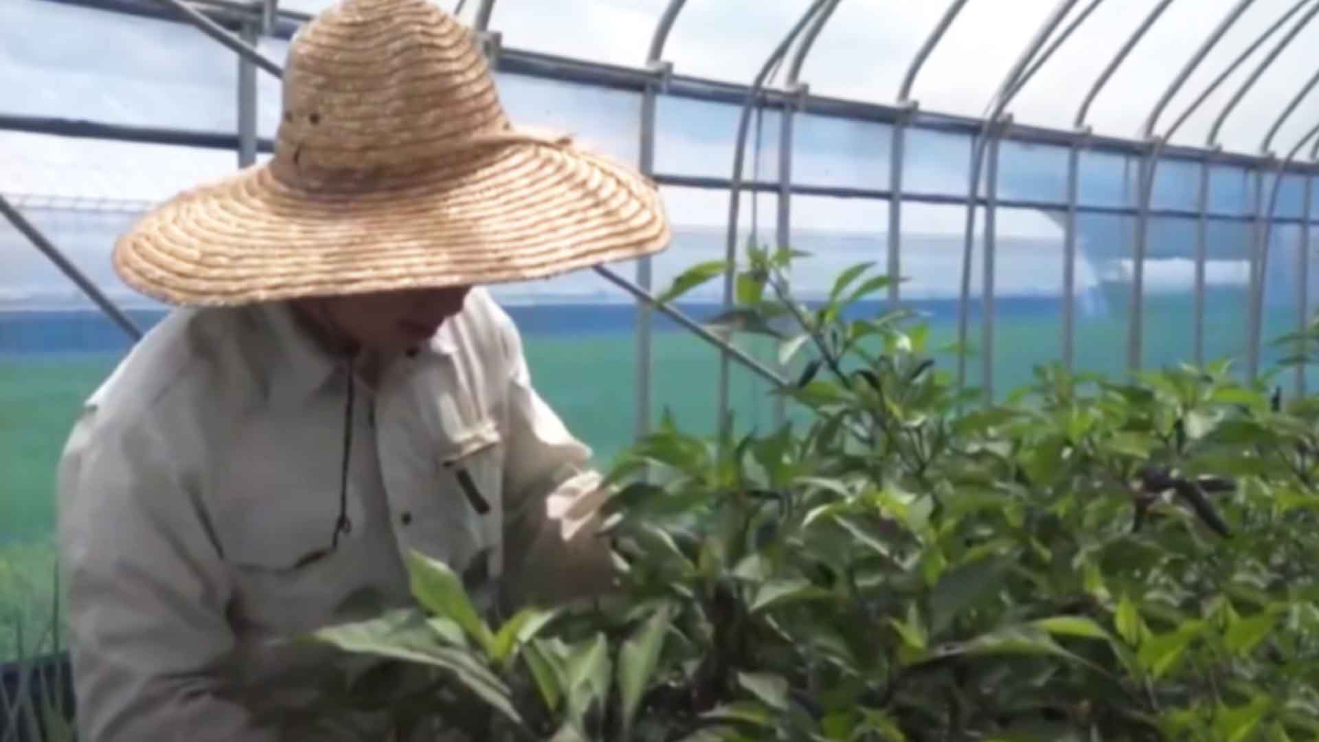 농지은행 매입비 '역대 최대'.. '청년농 지원' 강화