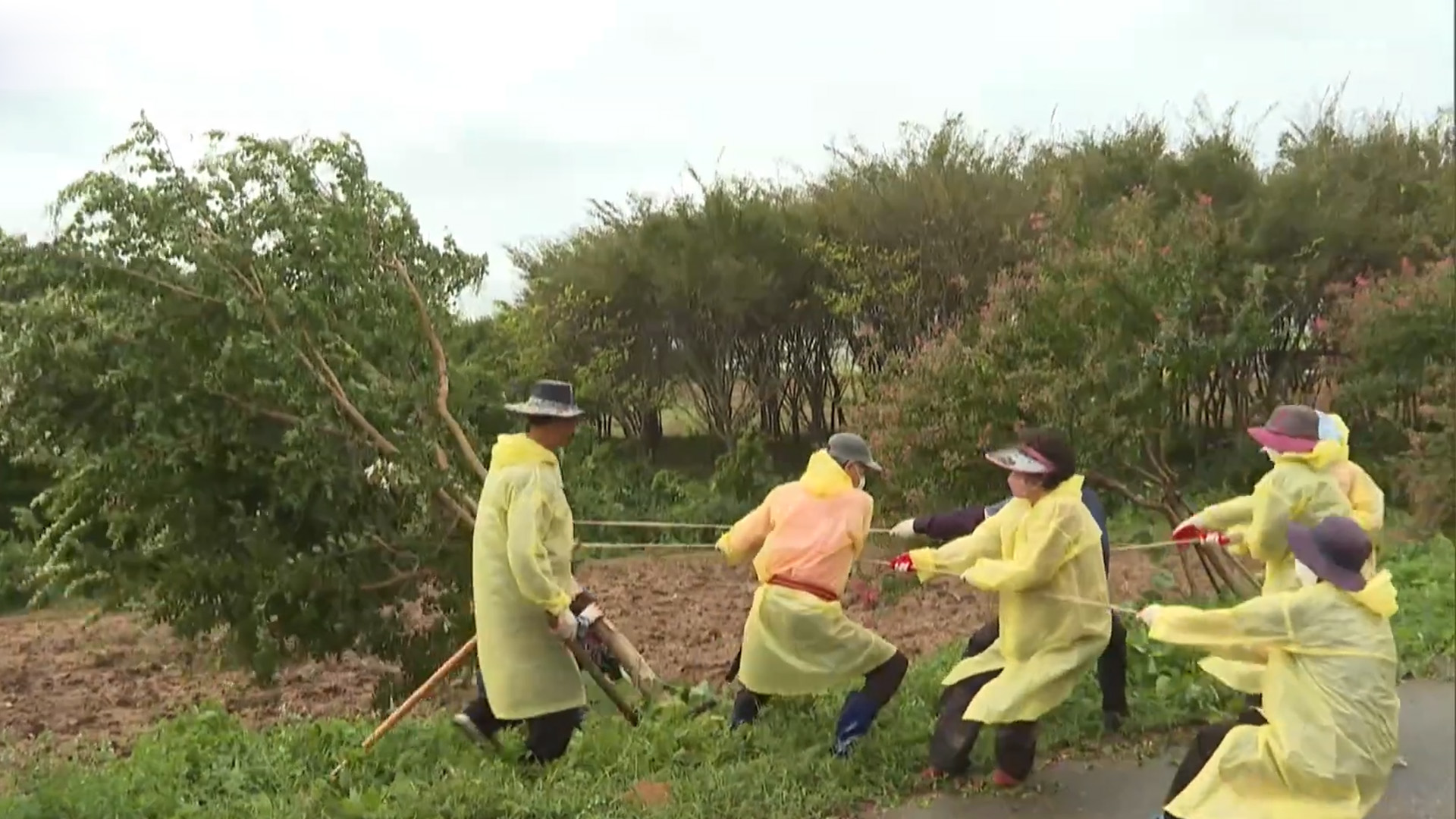 전북도, 가을철 태풍 대비 예방활동 추진