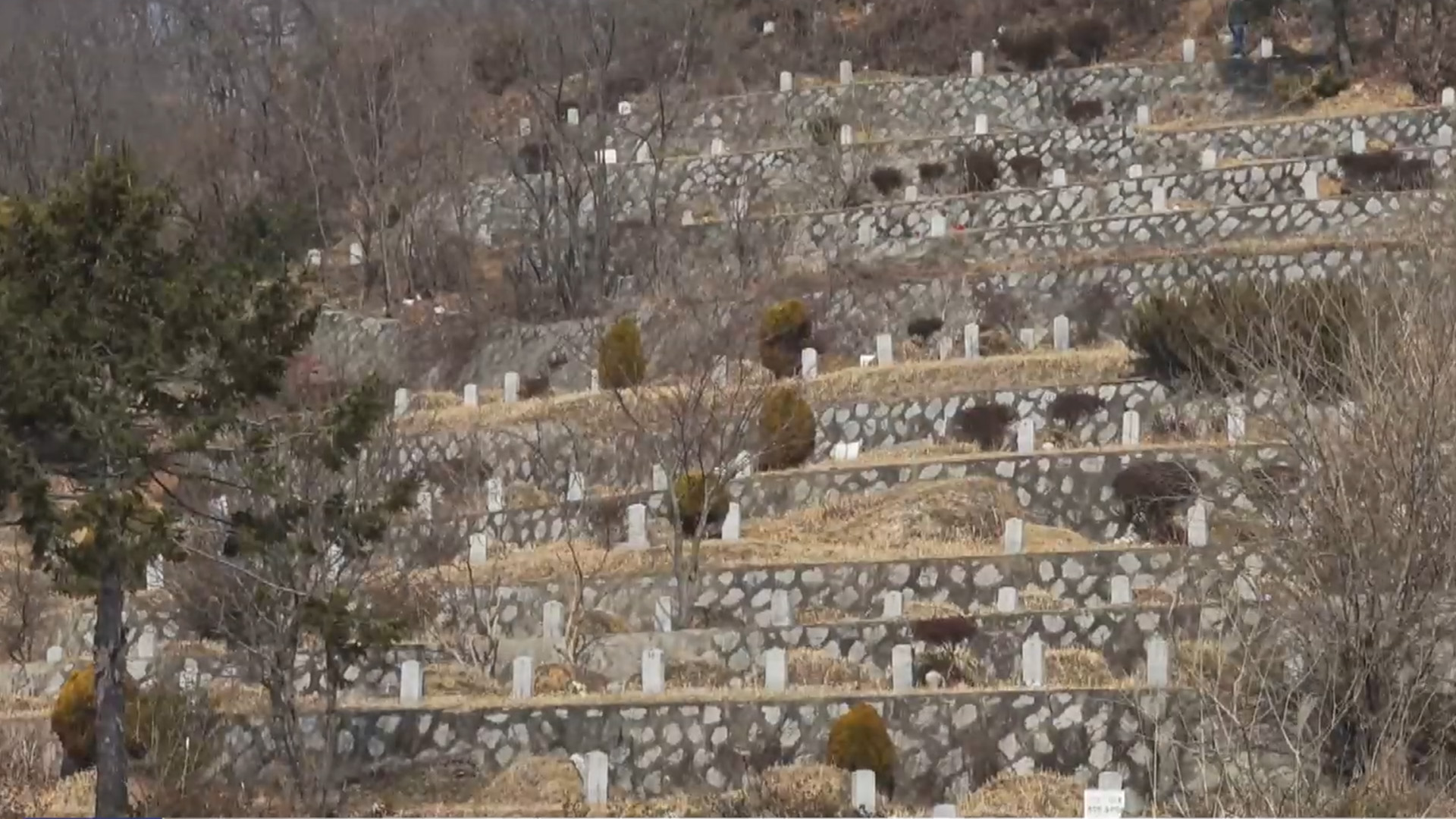 추석 당일 승화원 휴장...진입로는 '일방통행'