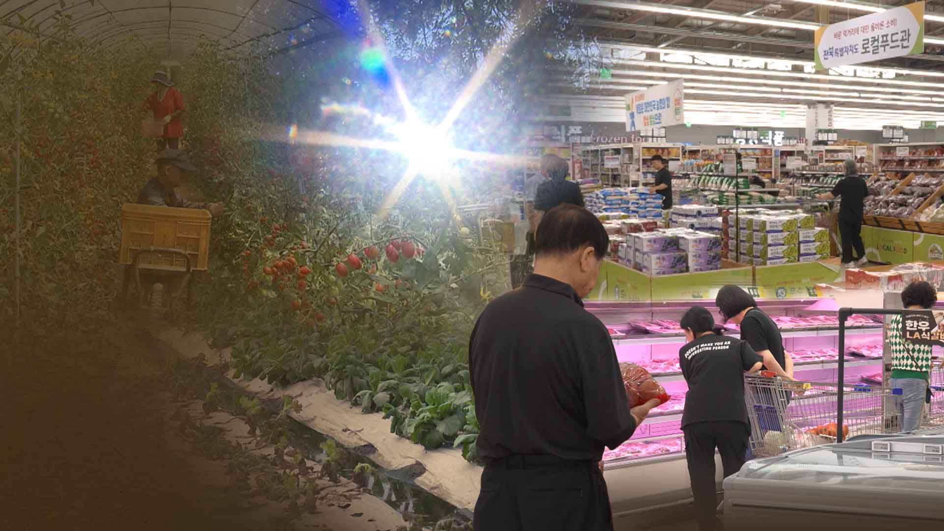 극한 고온, 극한 강우.. '소비자 물가'까지 끌어올려