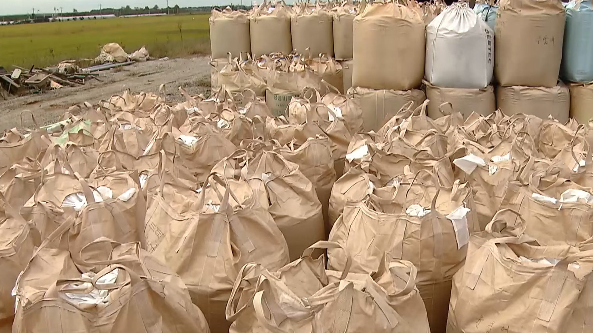 쌀값 지속 상승.. 10월 중순에나 안정될 듯