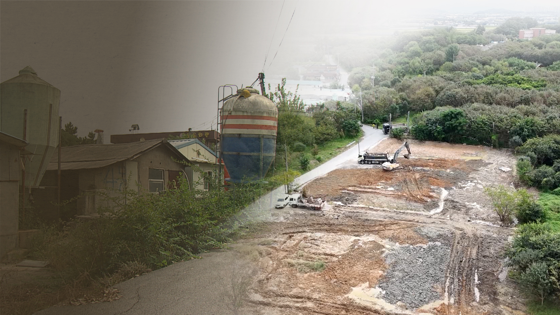 '한센인 아픔' 간직한 돼지농장.. 생태복원 어떻게?