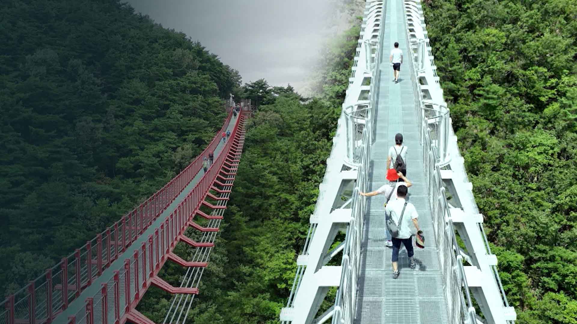 반짝 인기 끝.. 채계산 출렁다리 관광객 3분의 1토막