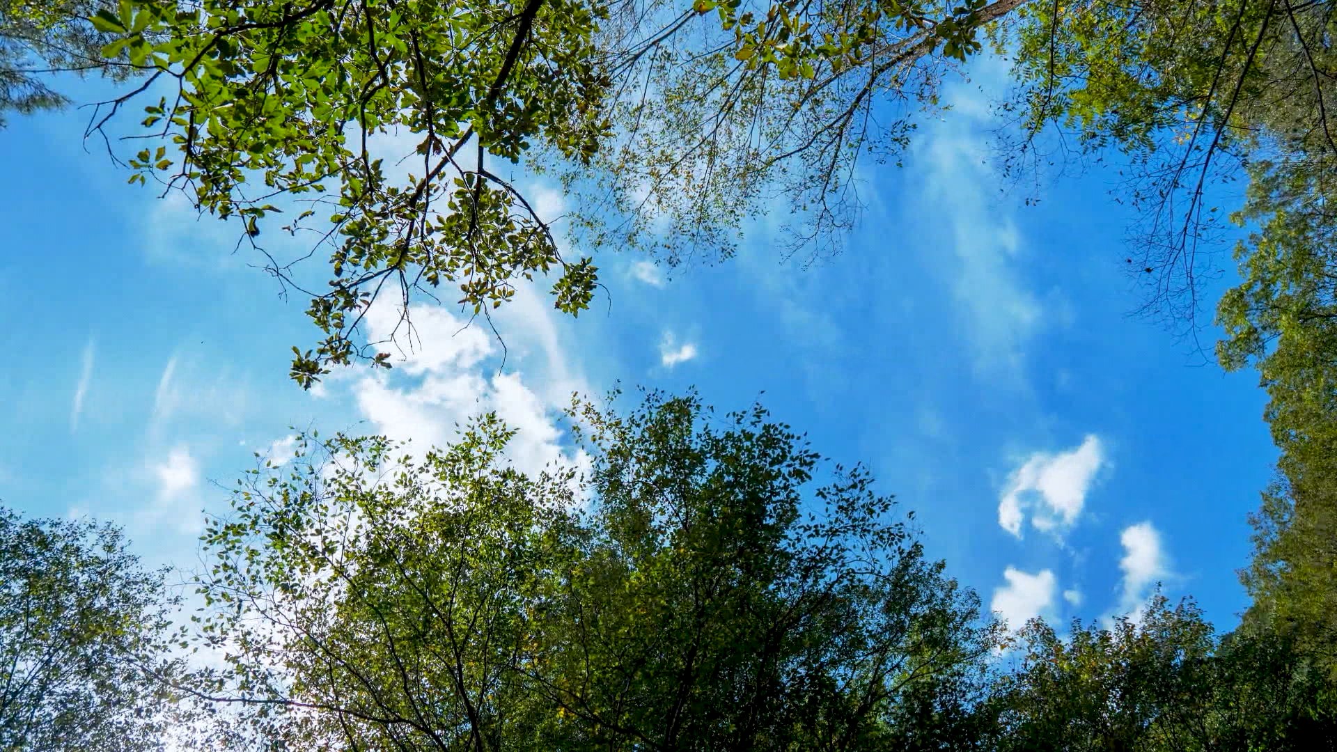 낮 기온 23~25도.. 내륙 중심 일교차 10도 안팎