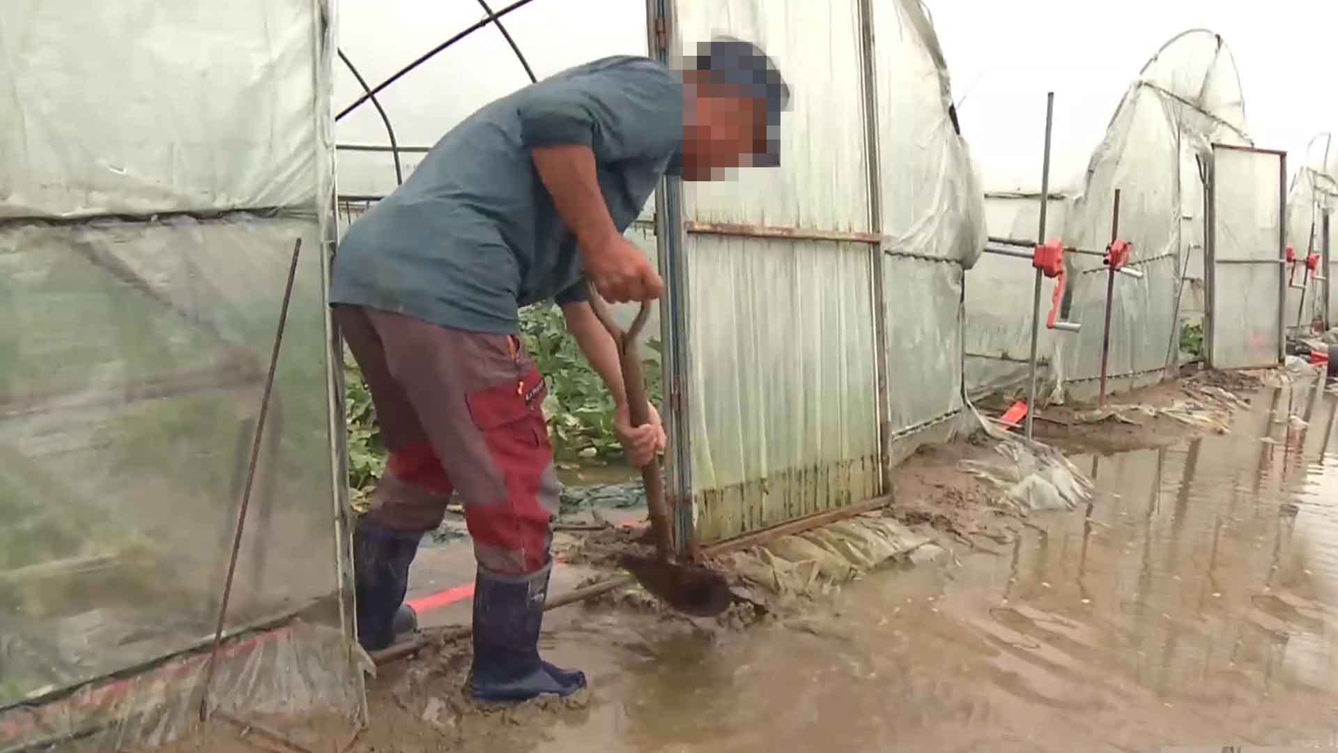 전북도, 기상이변 피해 농가 재해 복구비 125억 원 지원