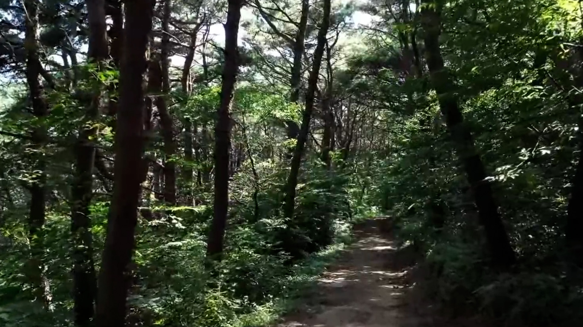 정읍시-내장산국립공원, 월영습지 생태탐방로 조성 [글로컬소식]