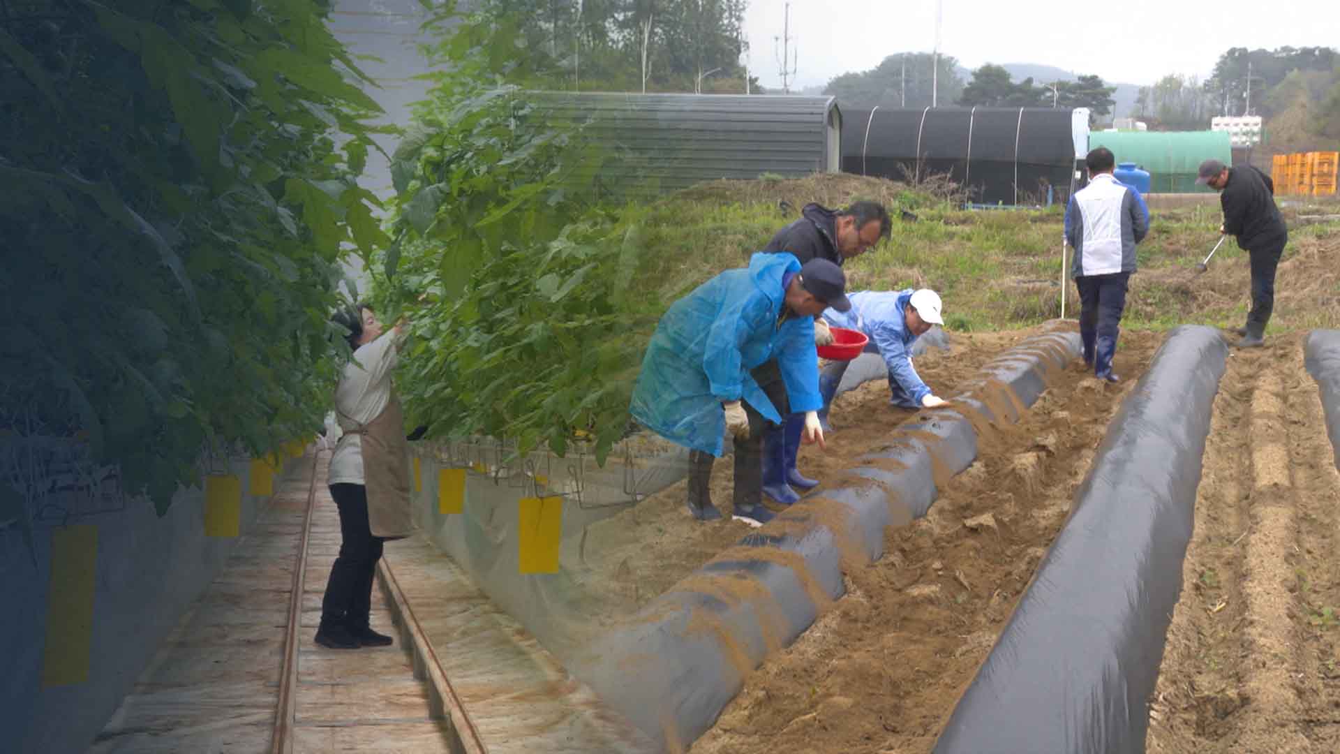 '귀농 1번지' 완주도 흔들.. '전북 귀농' 전국 5위 추락