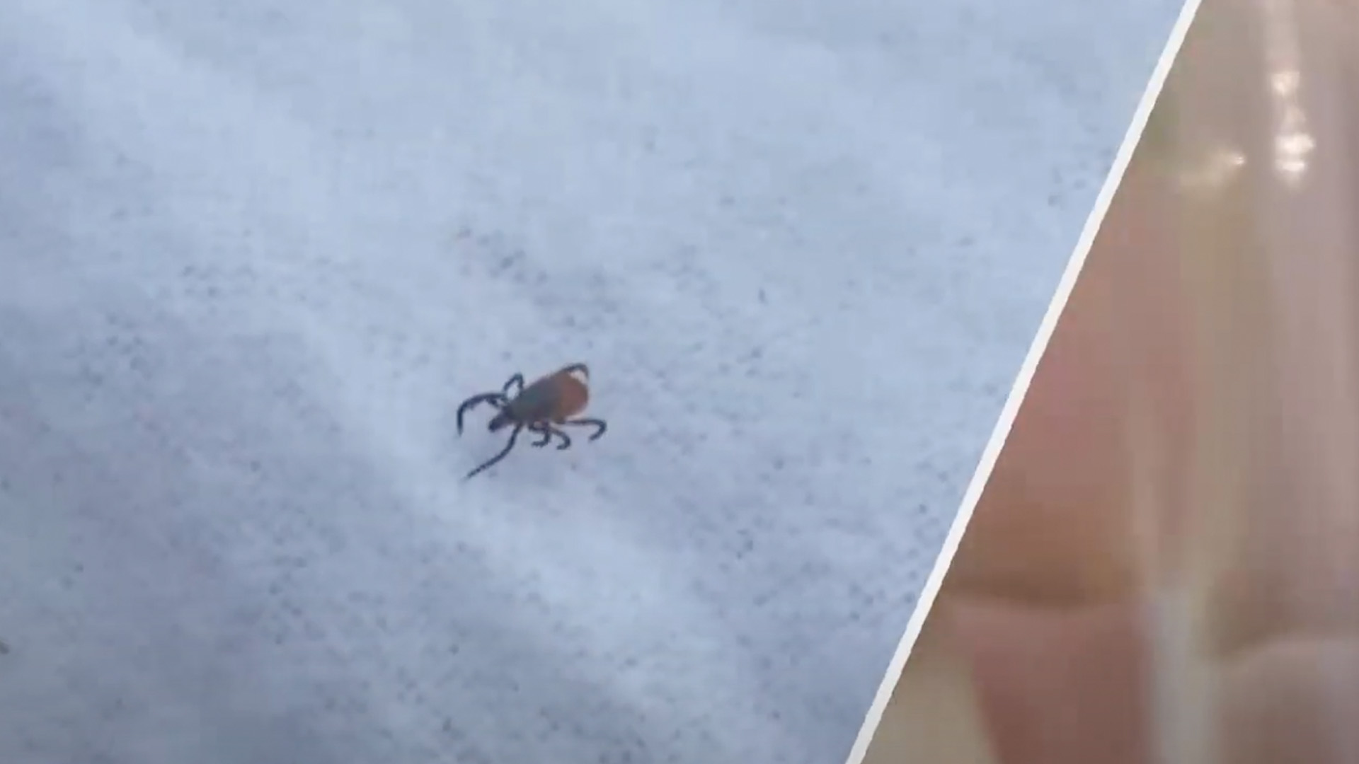 전북자치도, 추석 연휴 감염병 주의.. 개인위생 철저