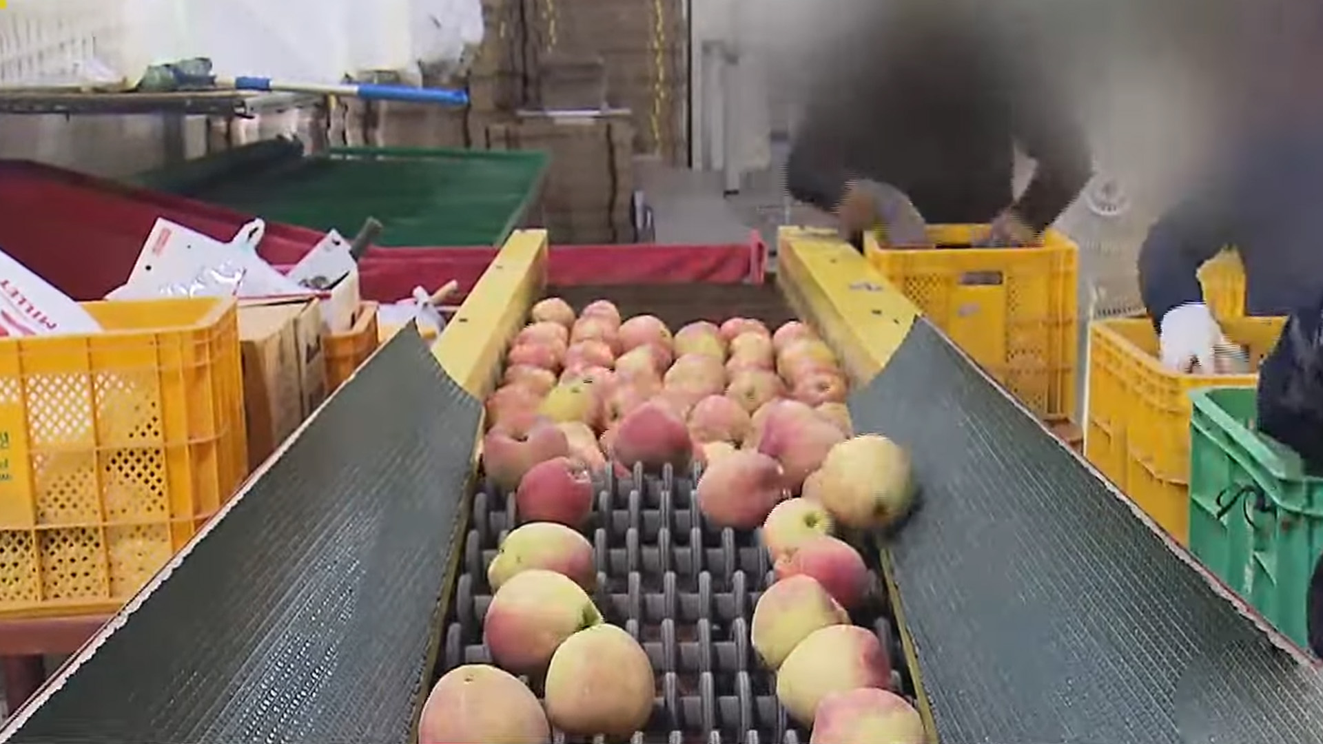 추석 앞두고 원산지 속인 업소 20곳 적발