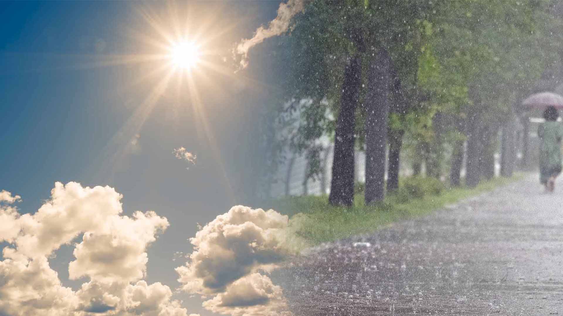 전주 4년 연속 9월 폭염.. 군산 시간당 152.2mm 비로 역대 1위