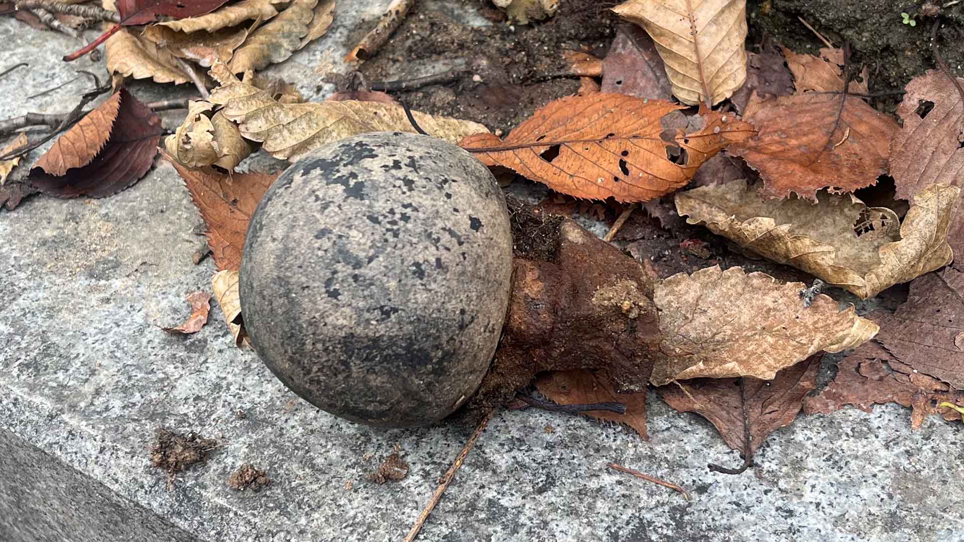 전주 아파트 단지에서 수류탄 신고 소동.. 훈련용으로 밝혀져