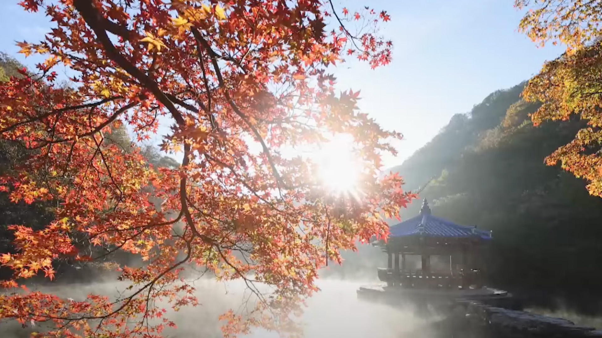 전북 지역 단풍 10월 말~11월 초 절정