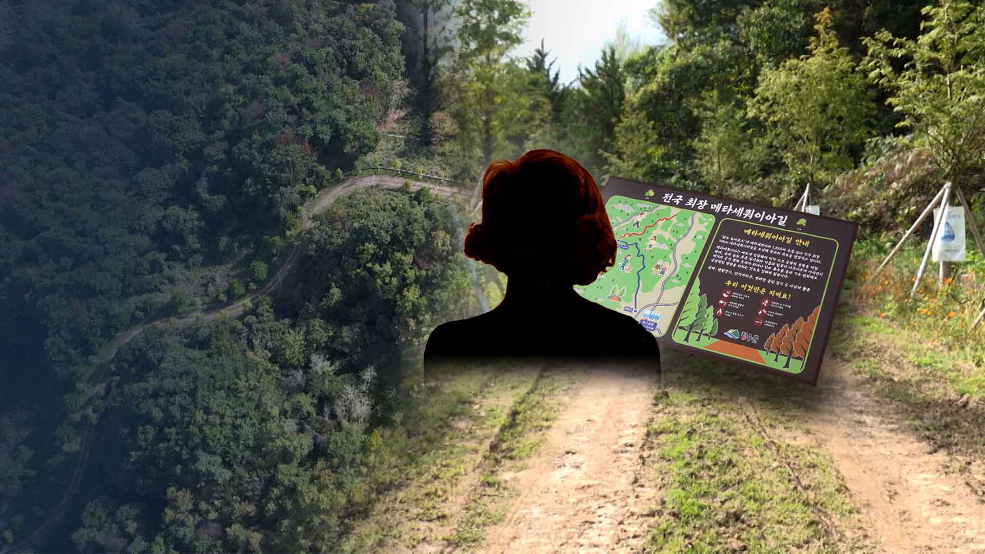 하천에선 불법, 산에선 이해충돌?.. 또 논란인 '군수님 땅'