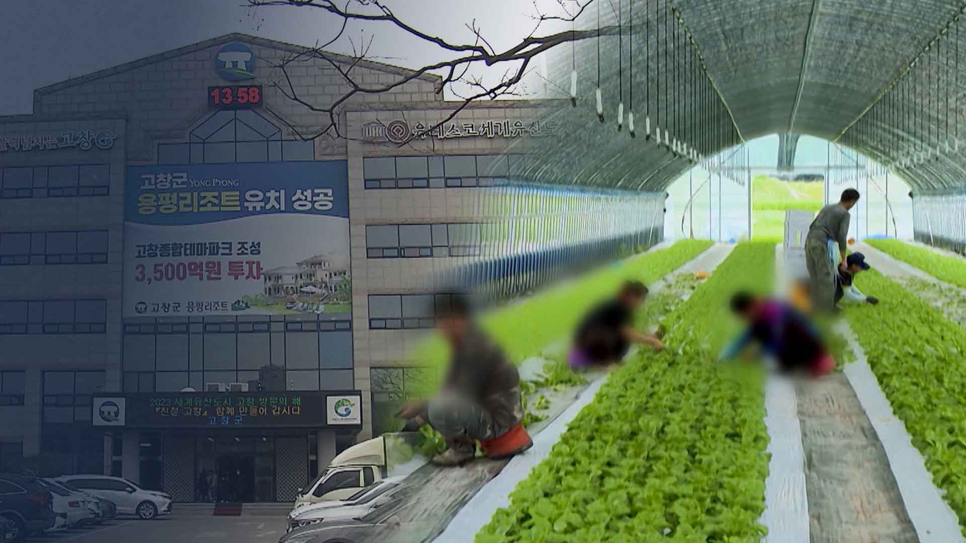농가·계절노동자 무더기 단속.. 