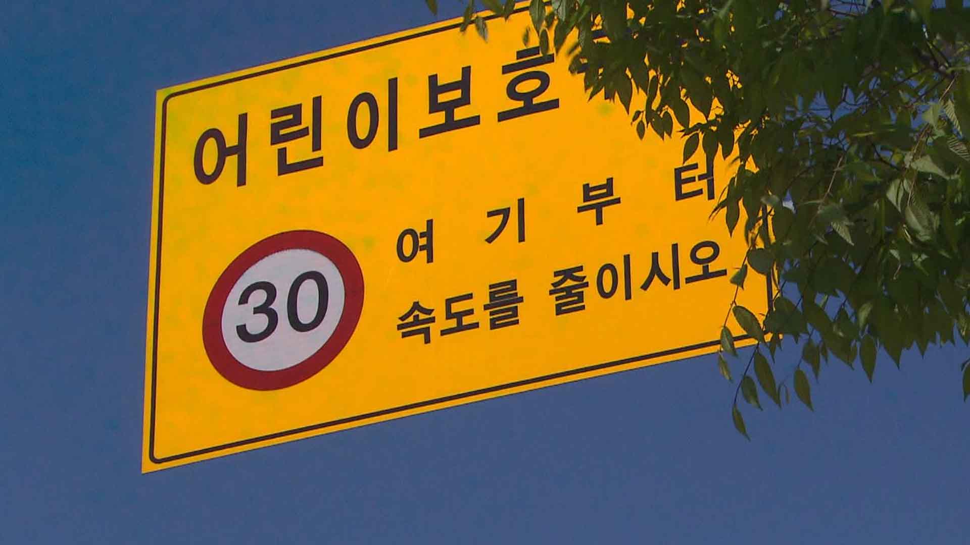 군산 개정초 등 3곳, 스쿨존 야간 속도 제한 완화