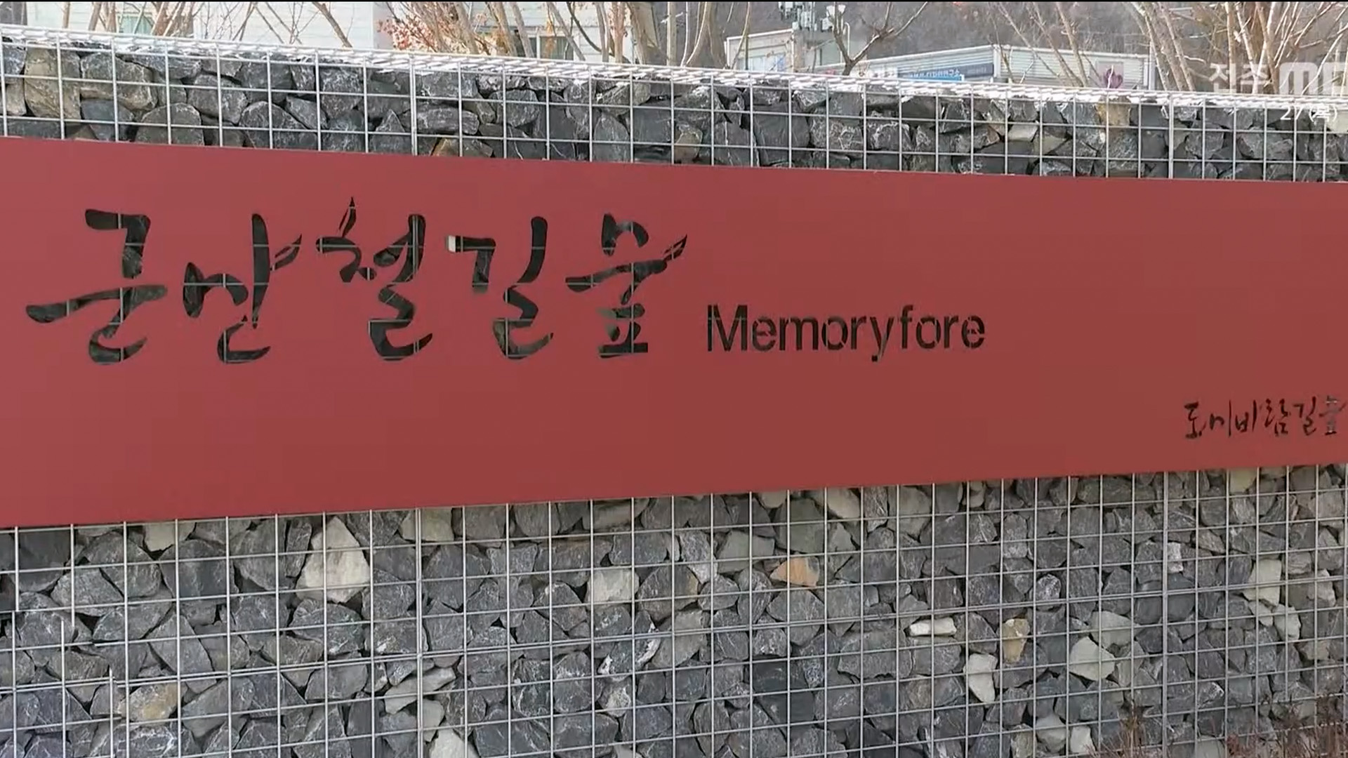 군산 철길 숲 2.6㎞ 완공..치유 공간으로 기대 [글로컬소식]