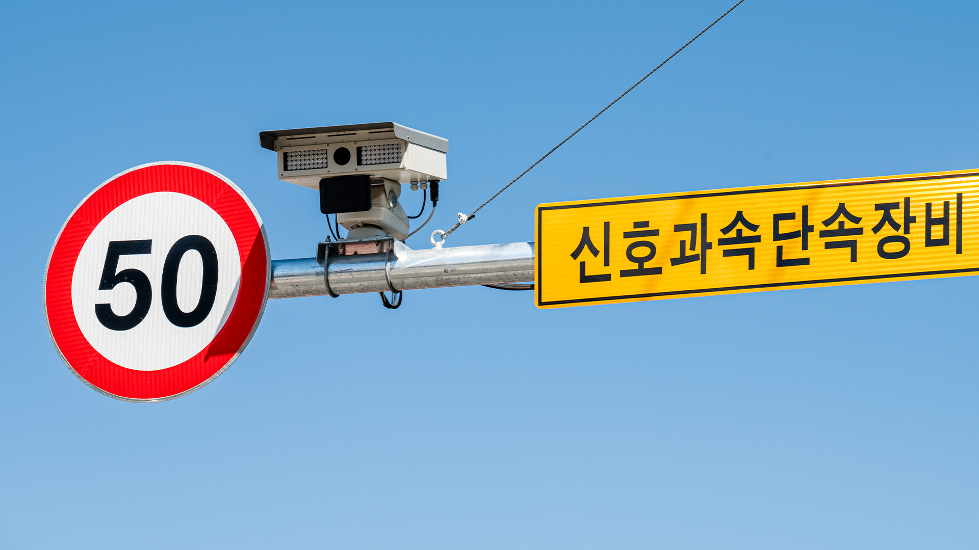 과속 단속 카메라 뜯어간 60대..  벌금 100만 원