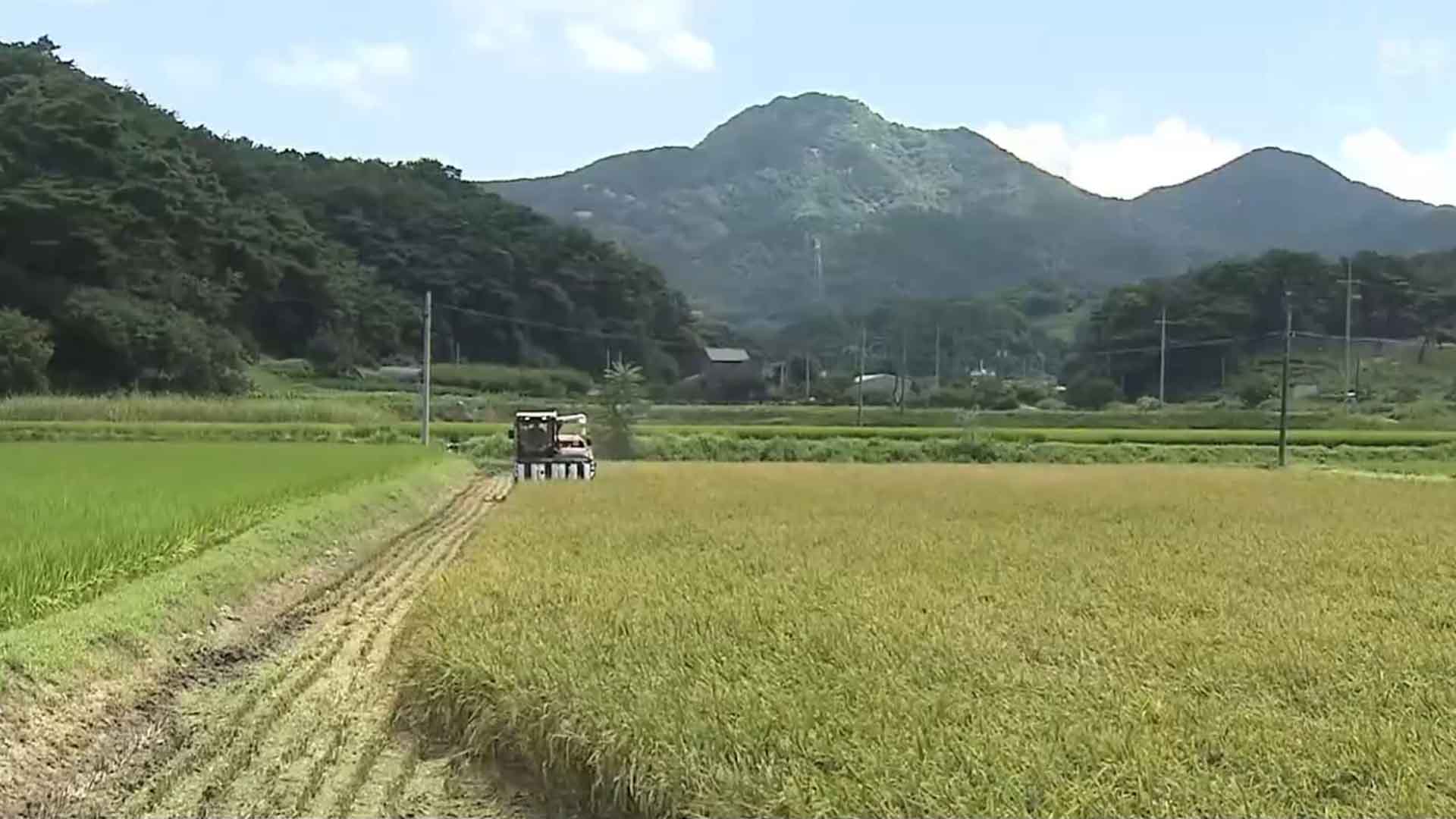 농가 공익직불금 연말까지 순차적으로 지급